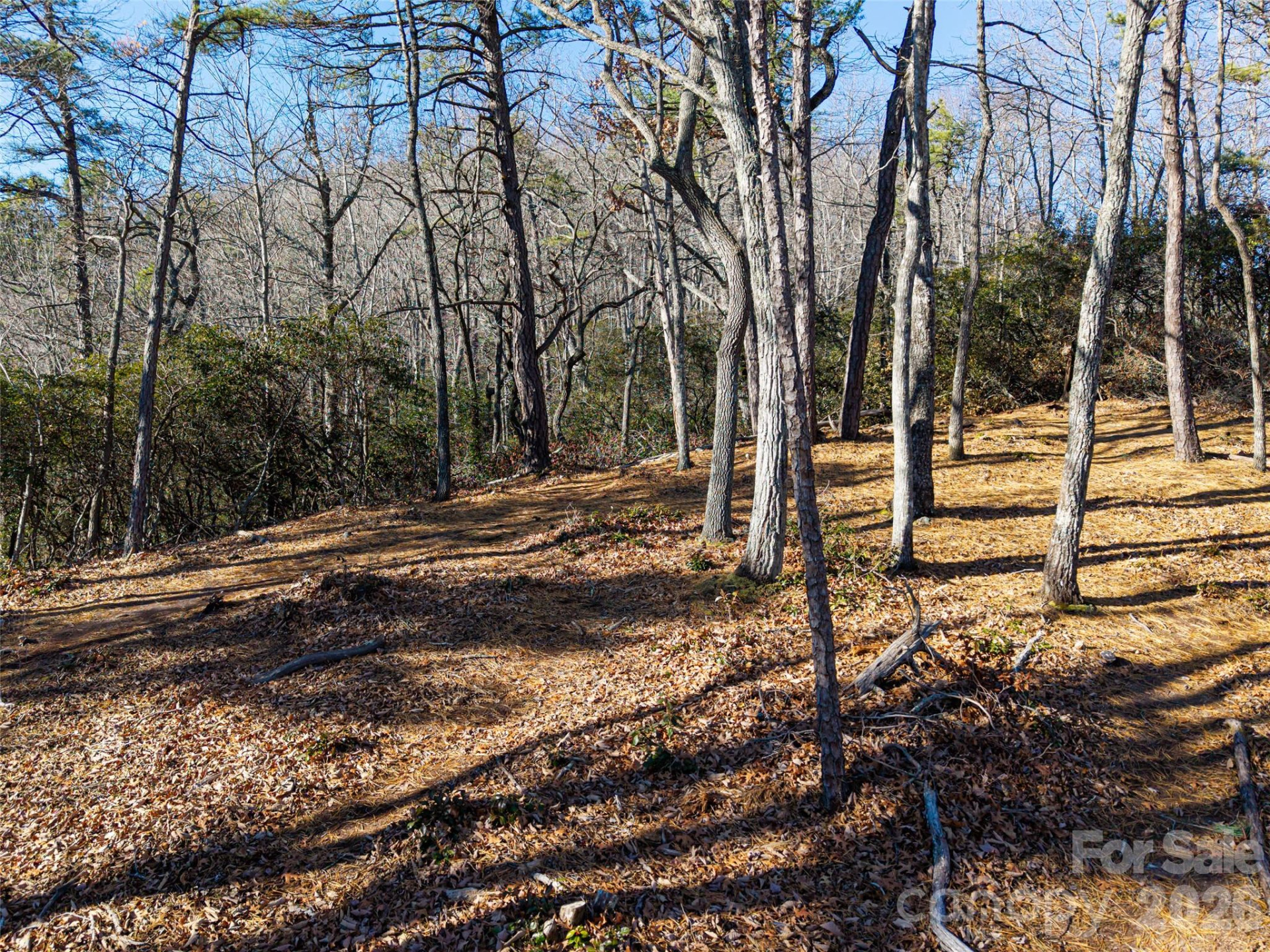 92 Smokey Ridge Trail - Photo 4