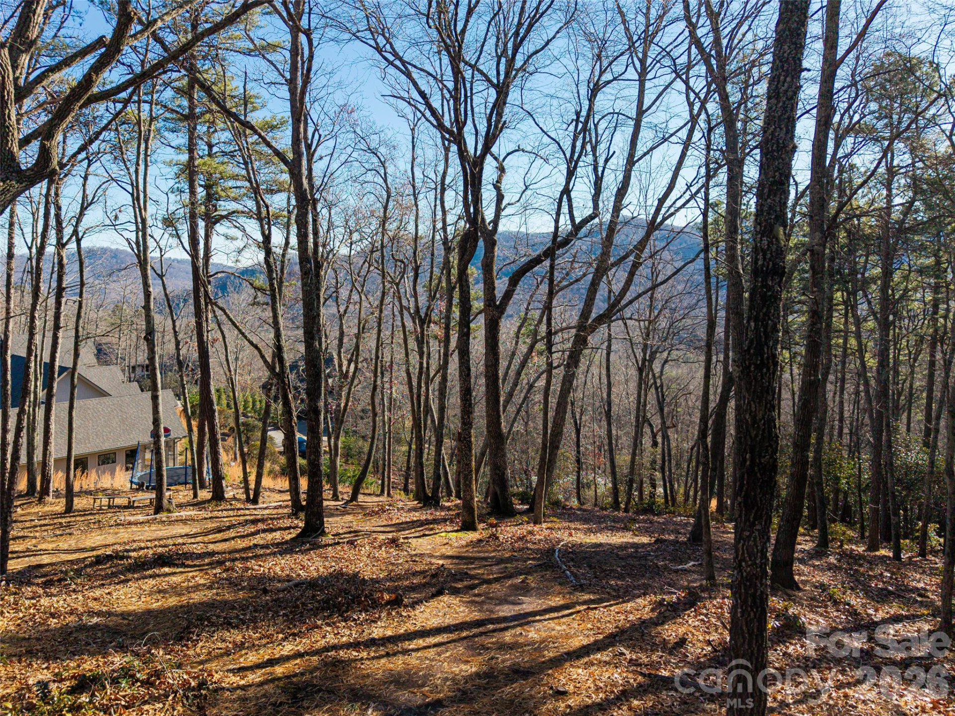 92 Smokey Ridge Trail - Photo 5