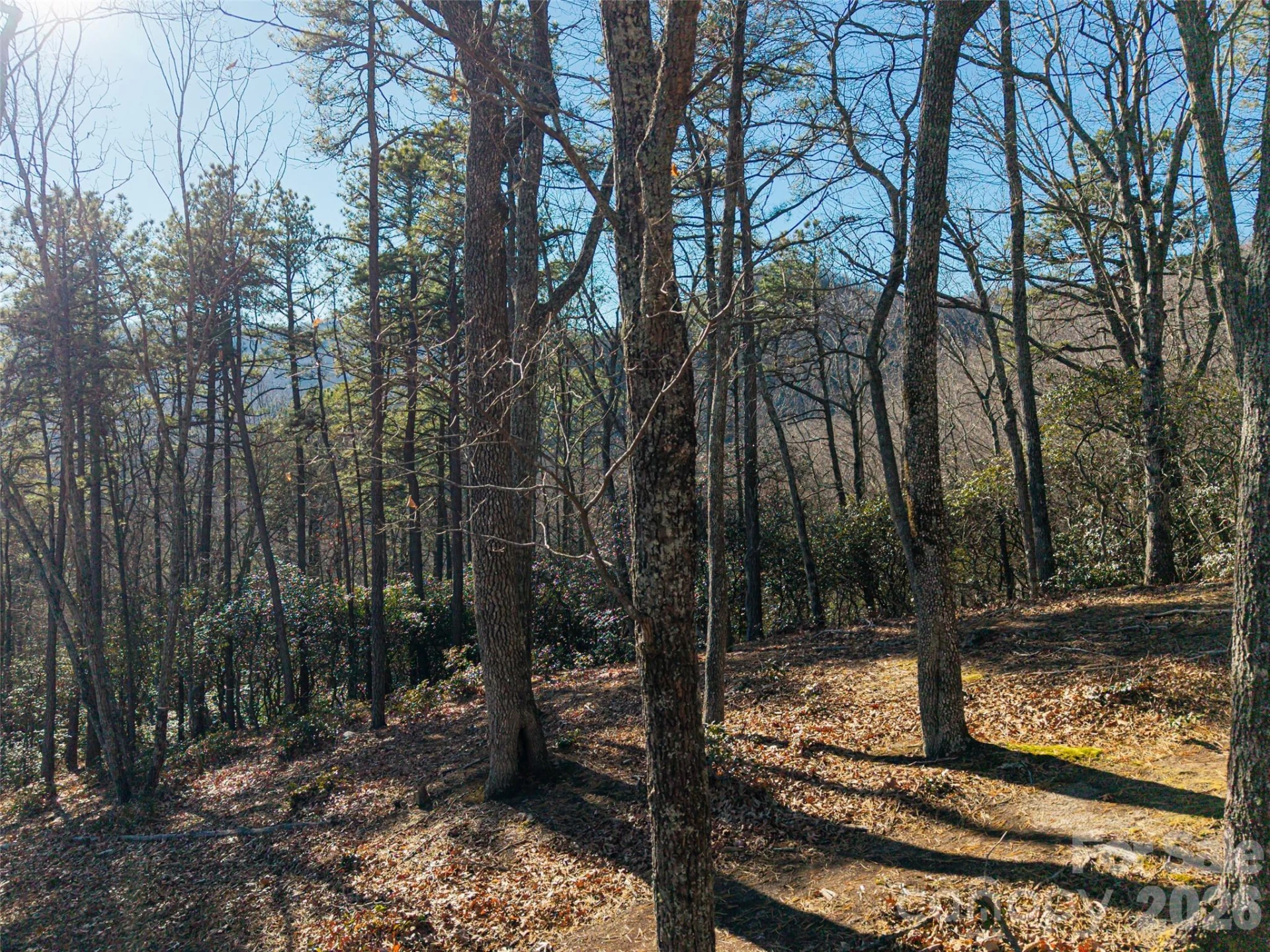 92 Smokey Ridge Trail - Photo 5