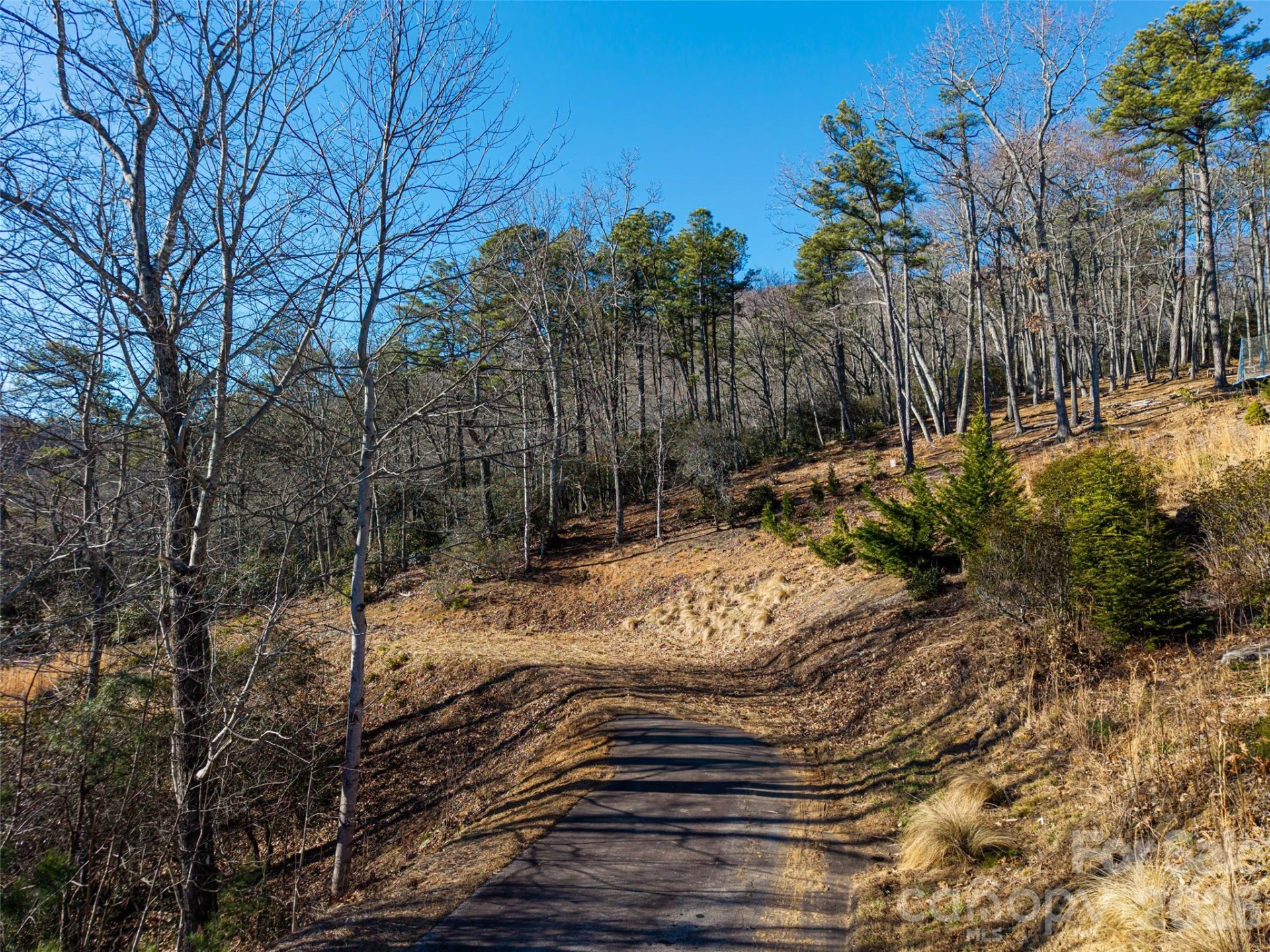 92 Smokey Ridge Trail - Photo 8