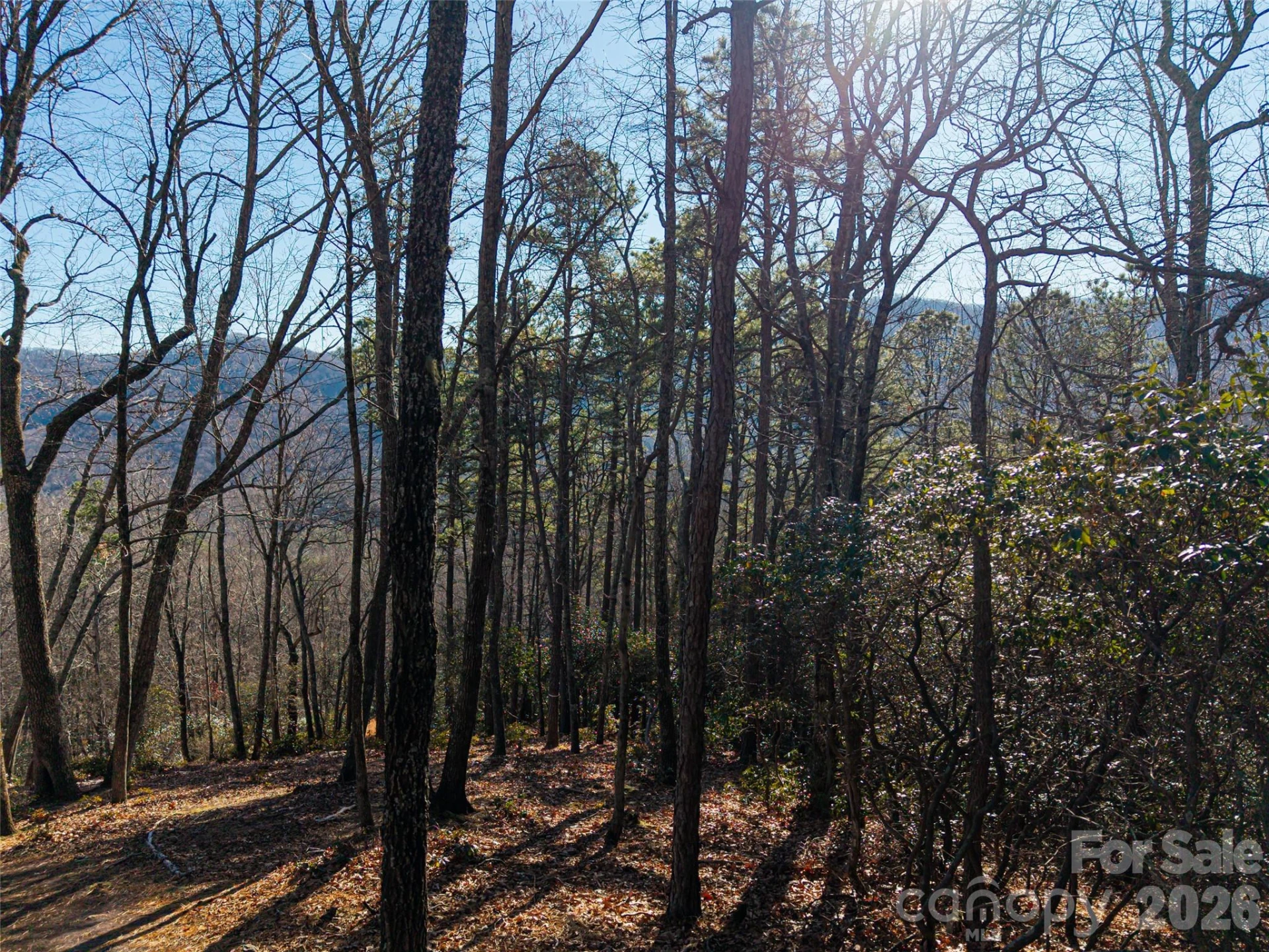 92 Smokey Ridge Trail - Photo 9
