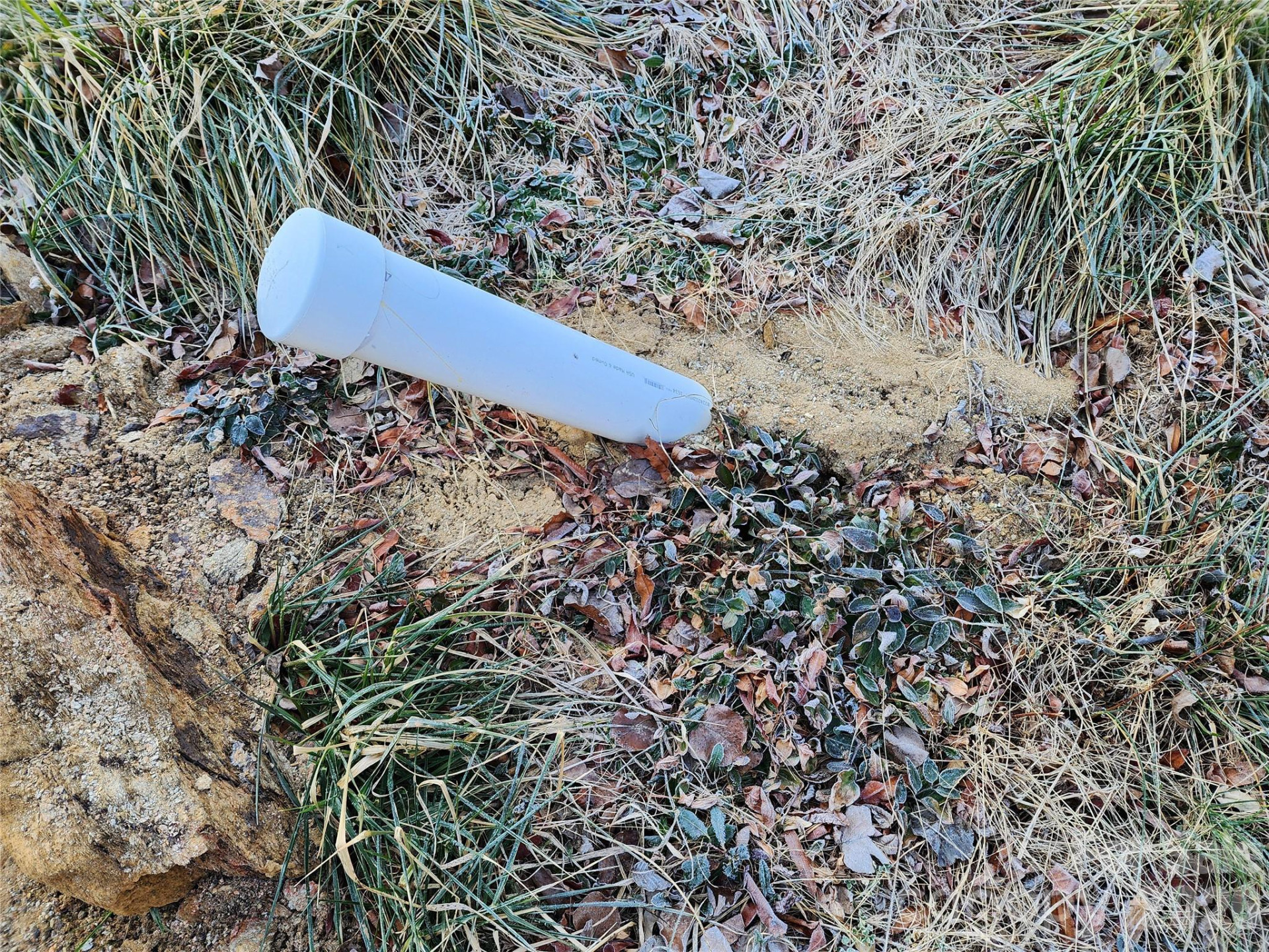 237 Edgewood Road #2 - Photo 4