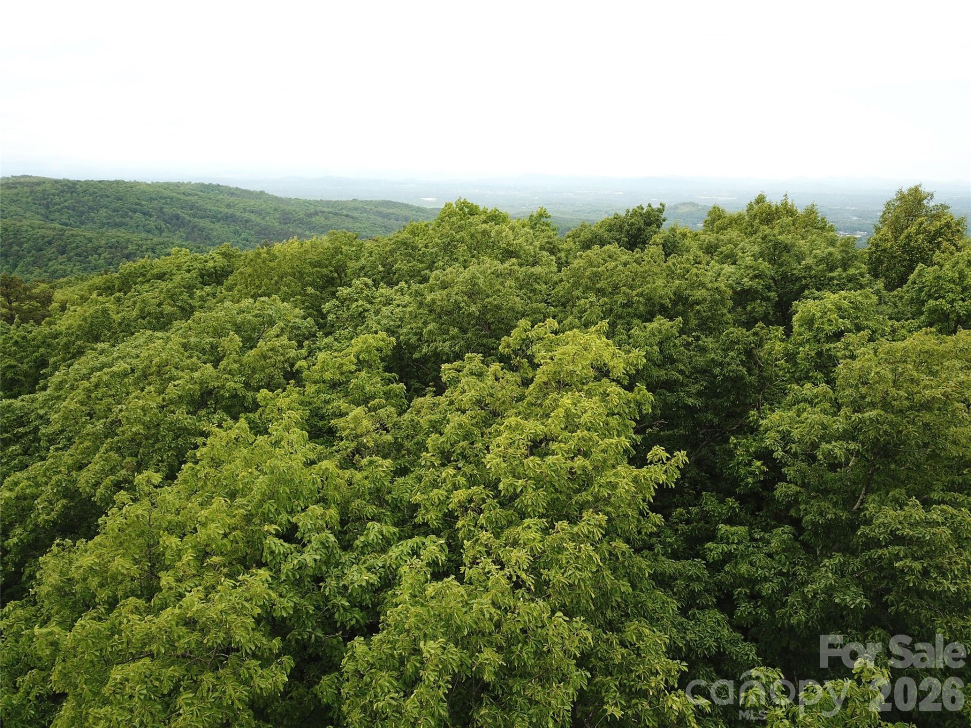 0 Hildebran Mountain Avenue - Photo 2