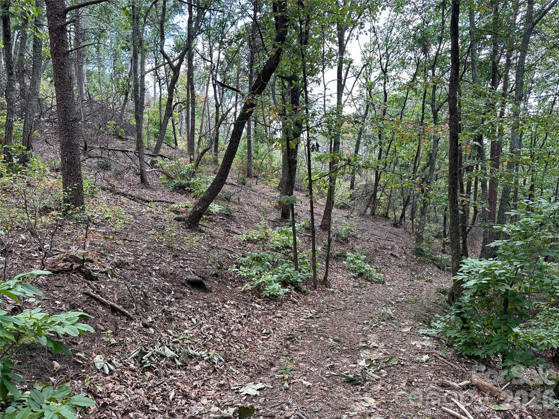 0 Hildebran Mountain Avenue - Photo 11