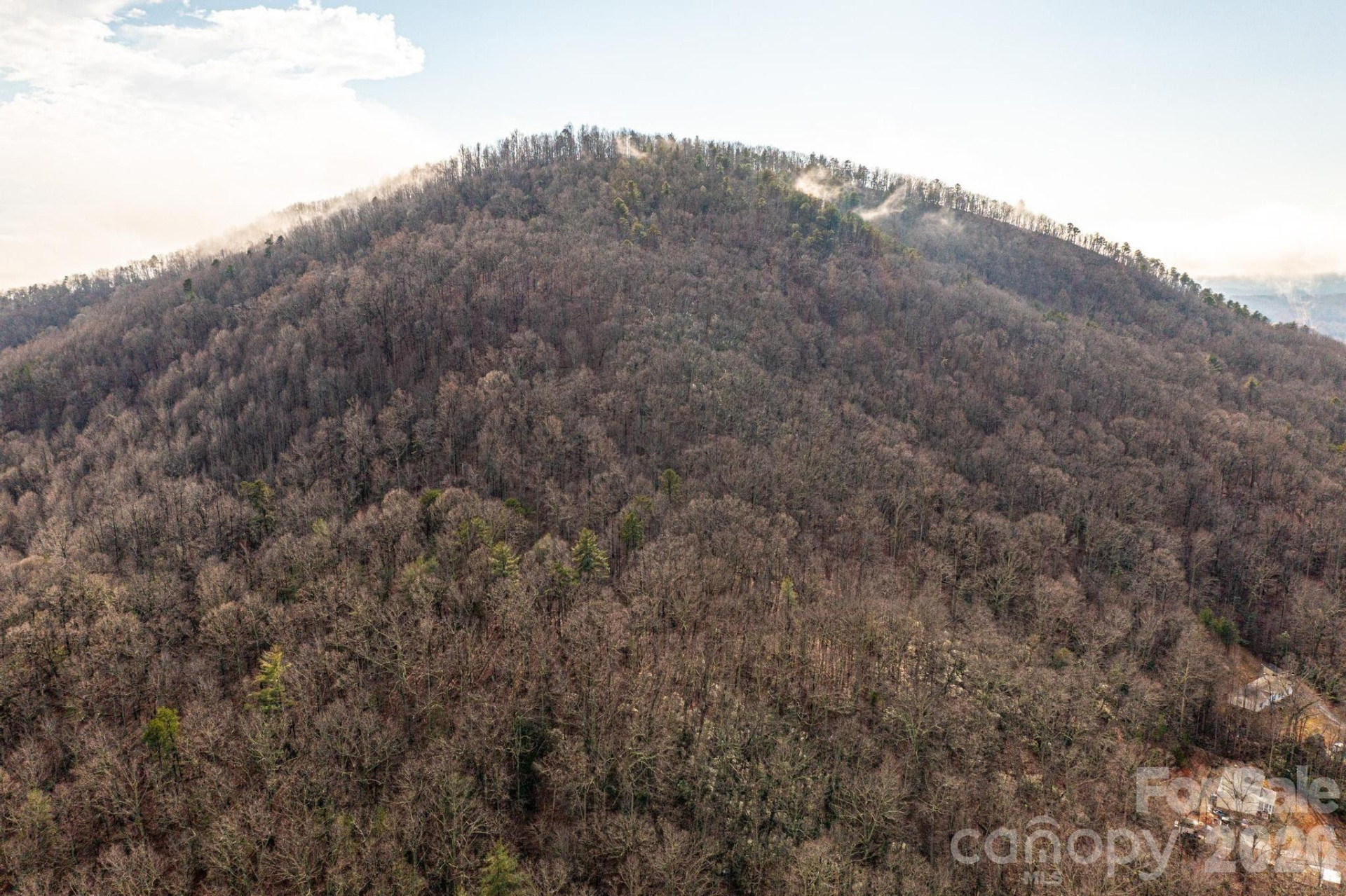 0 Hildebran Mountain Avenue - Photo 12