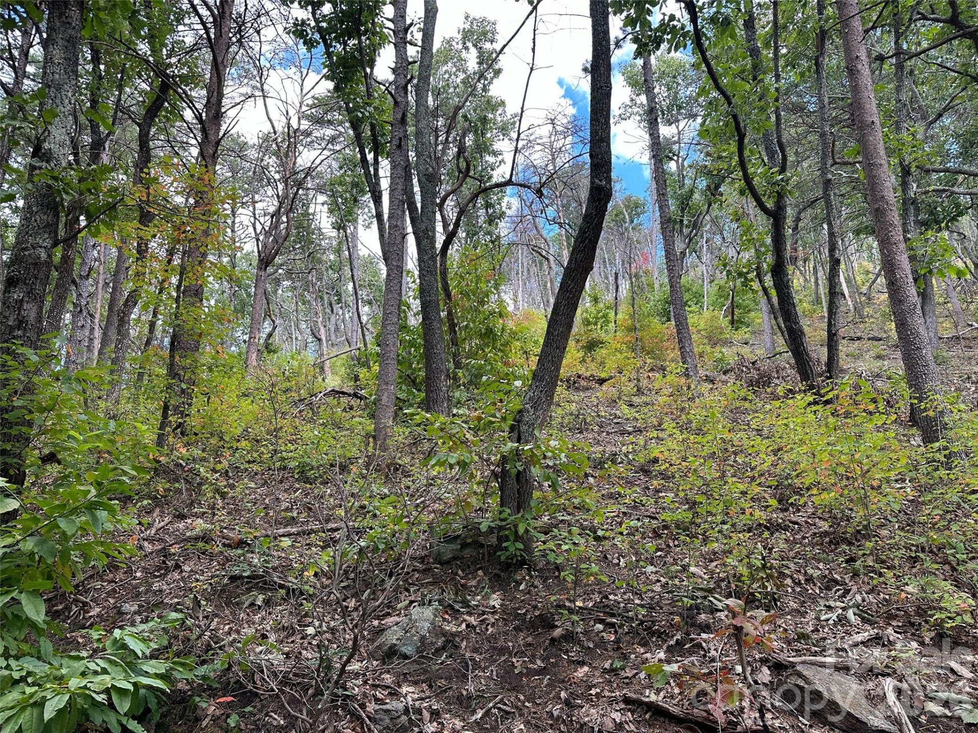 0 Hildebran Mountain Avenue - Photo 13