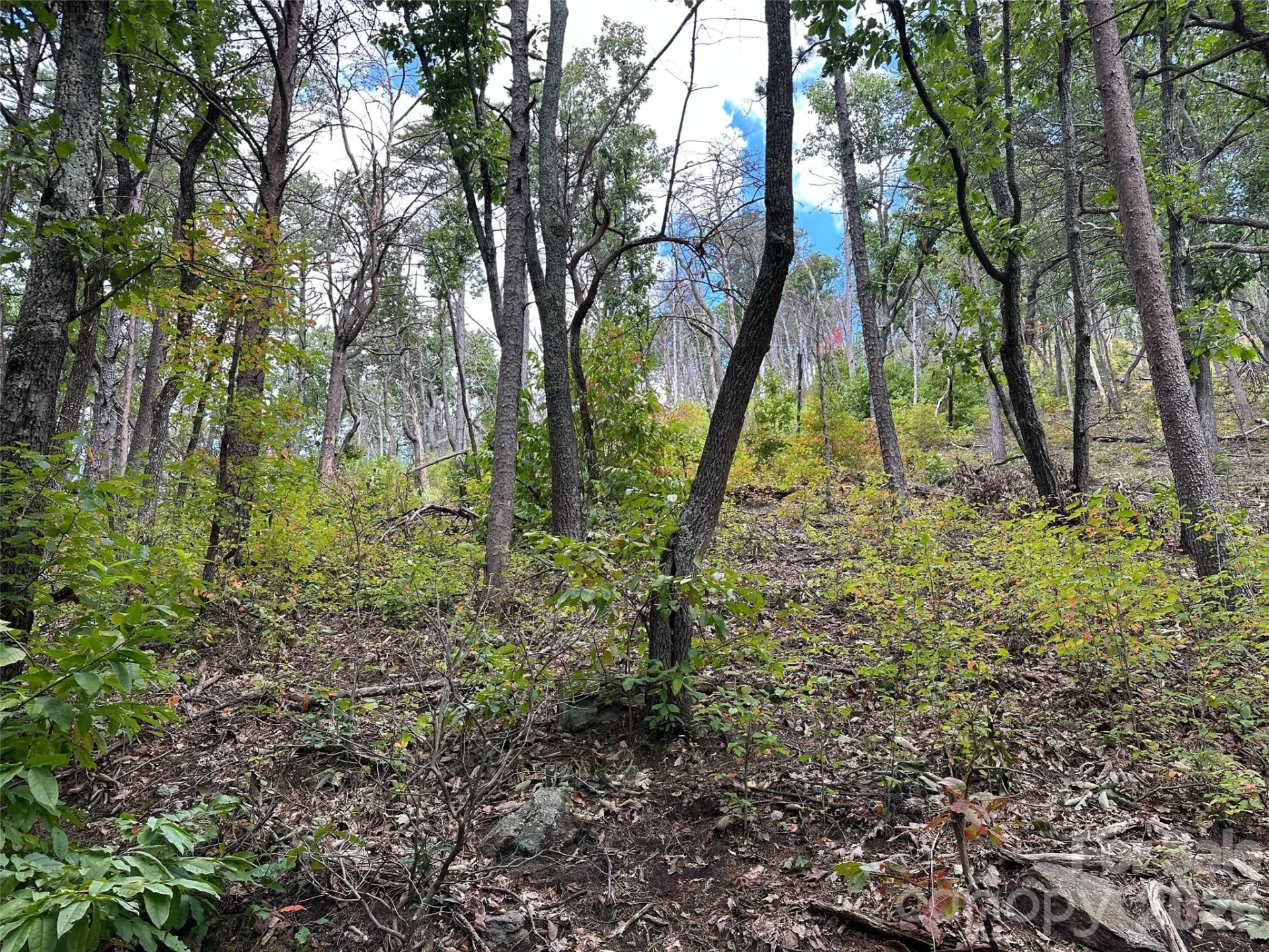 0 Hildebran Mountain Avenue - Photo 13