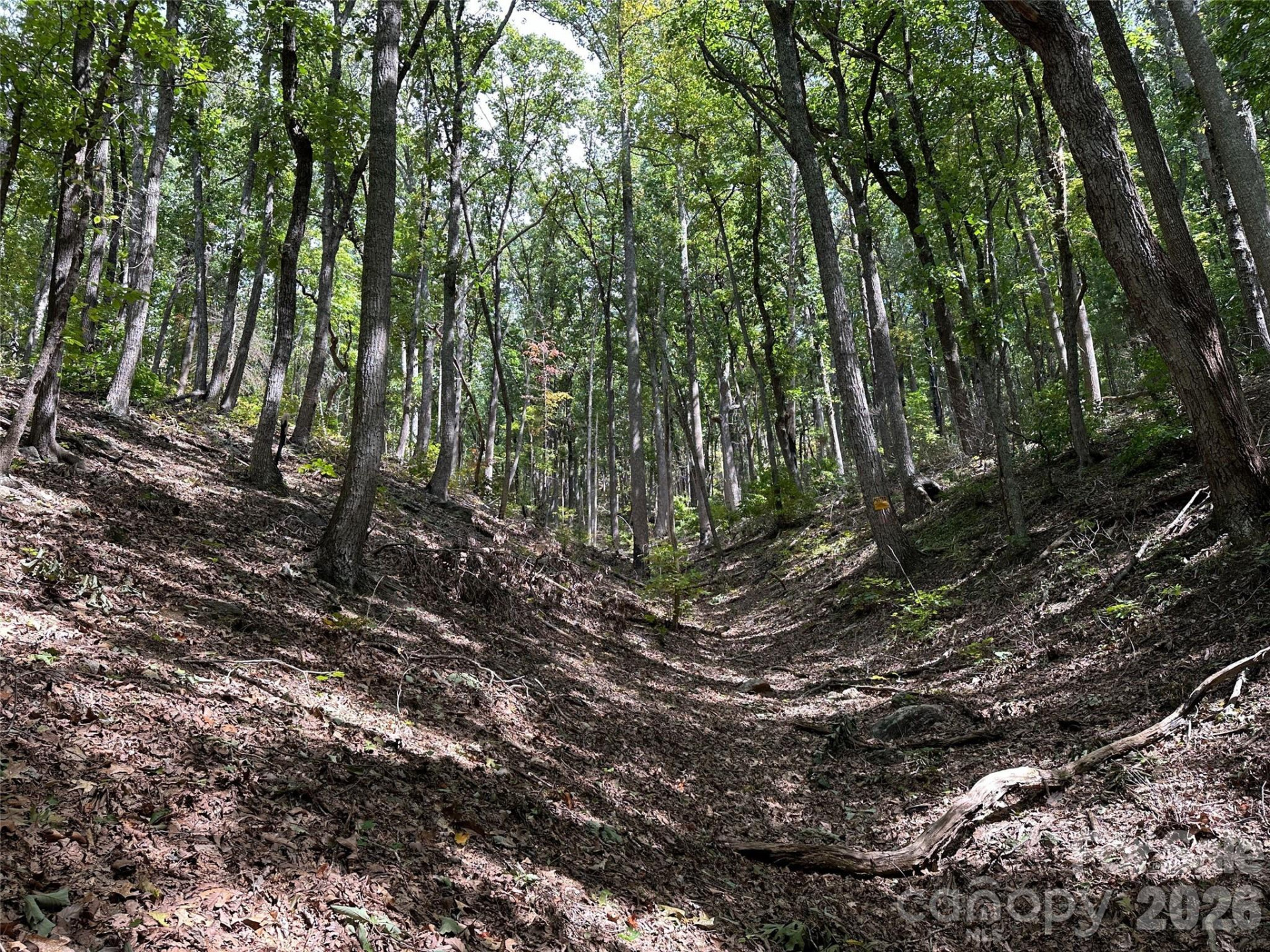 0 Hildebran Mountain Avenue - Photo 14