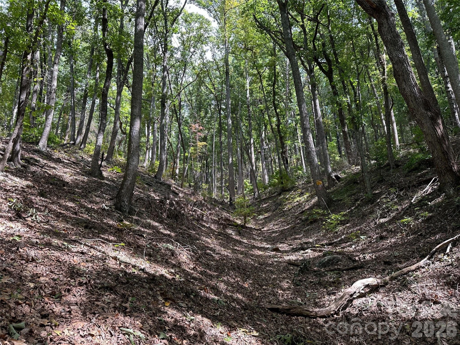 0 Hildebran Mountain Avenue - Photo 14