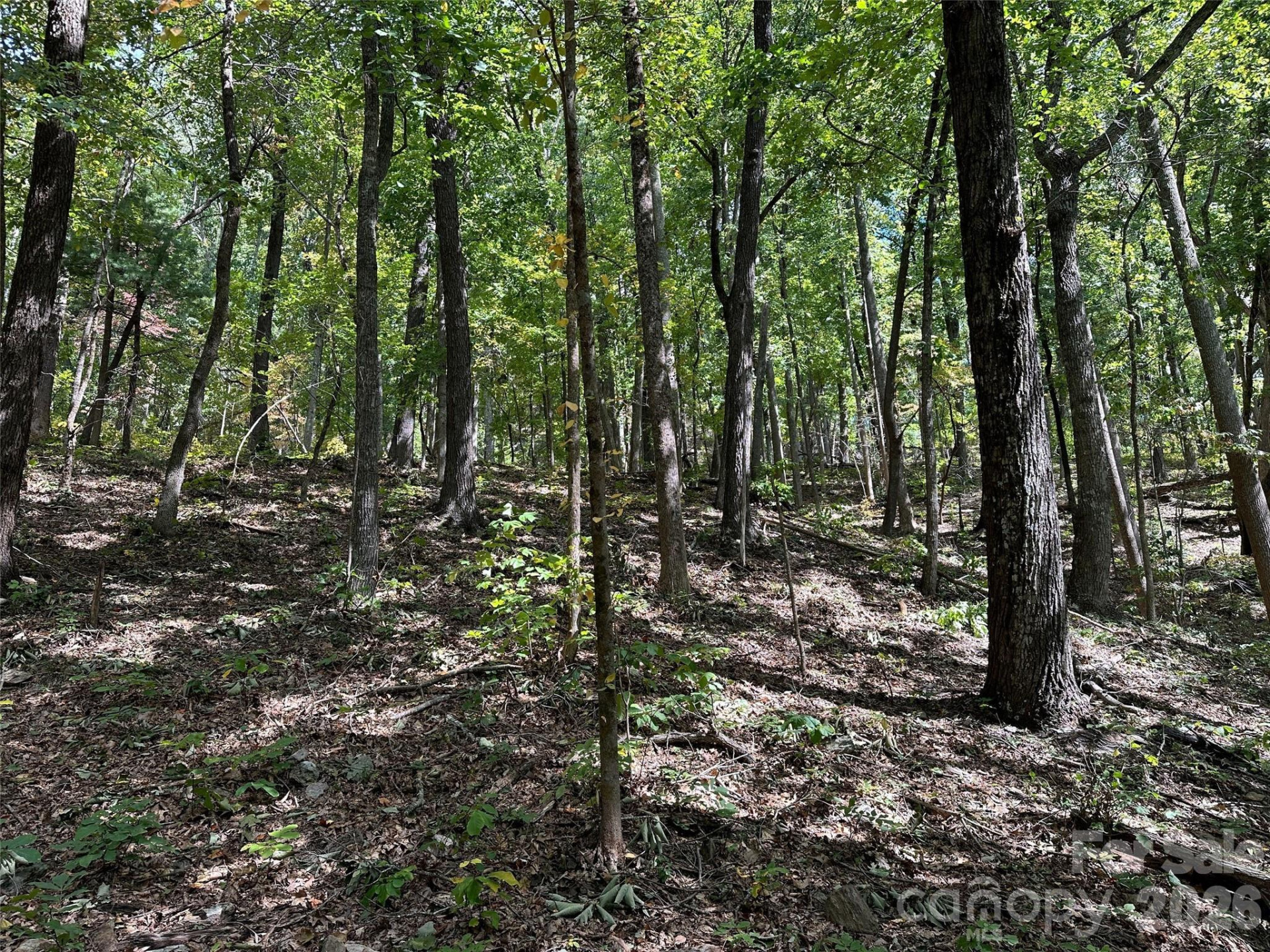 0 Hildebran Mountain Avenue - Photo 15