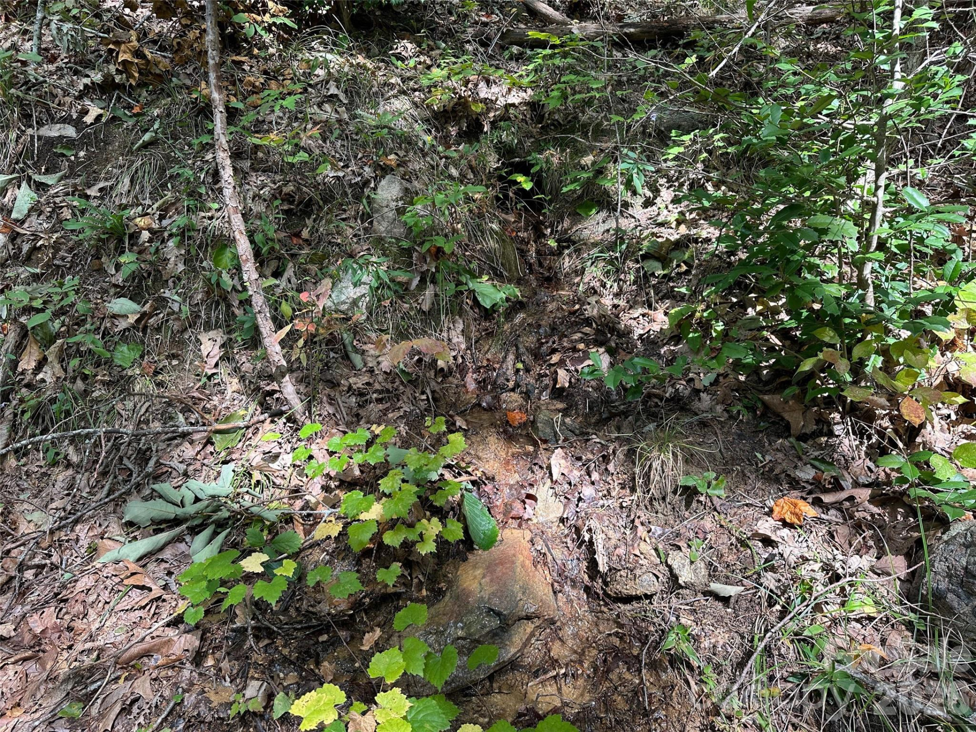 0 Hildebran Mountain Avenue - Photo 16