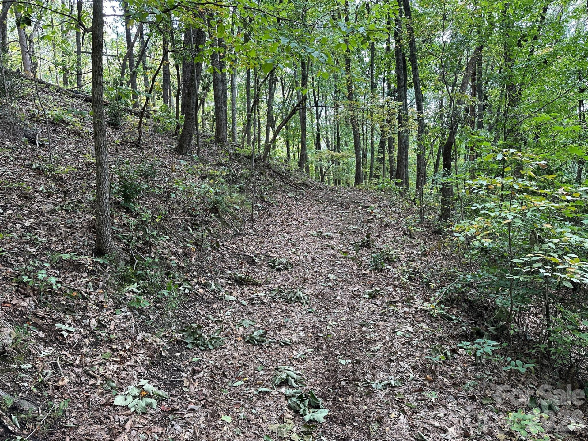 0 Hildebran Mountain Avenue - Photo 17