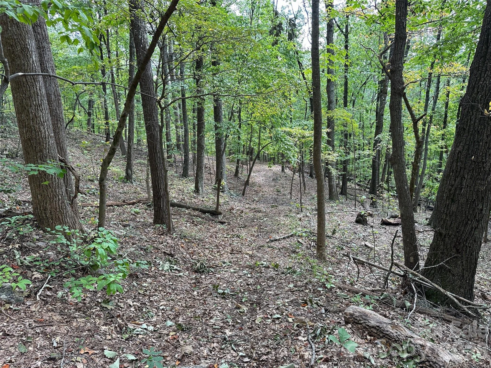 0 Hildebran Mountain Avenue - Photo 18