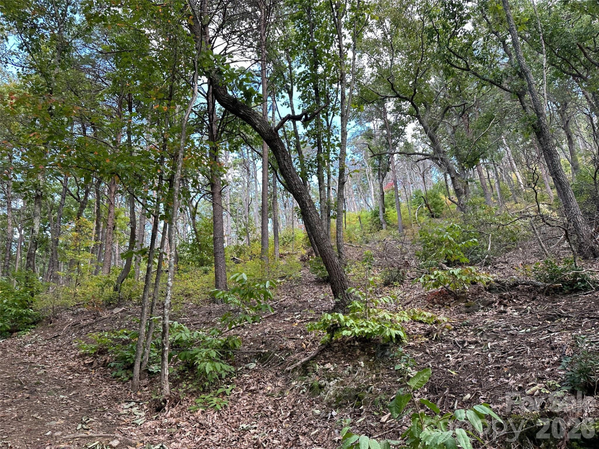 0 Hildebran Mountain Avenue - Photo 19