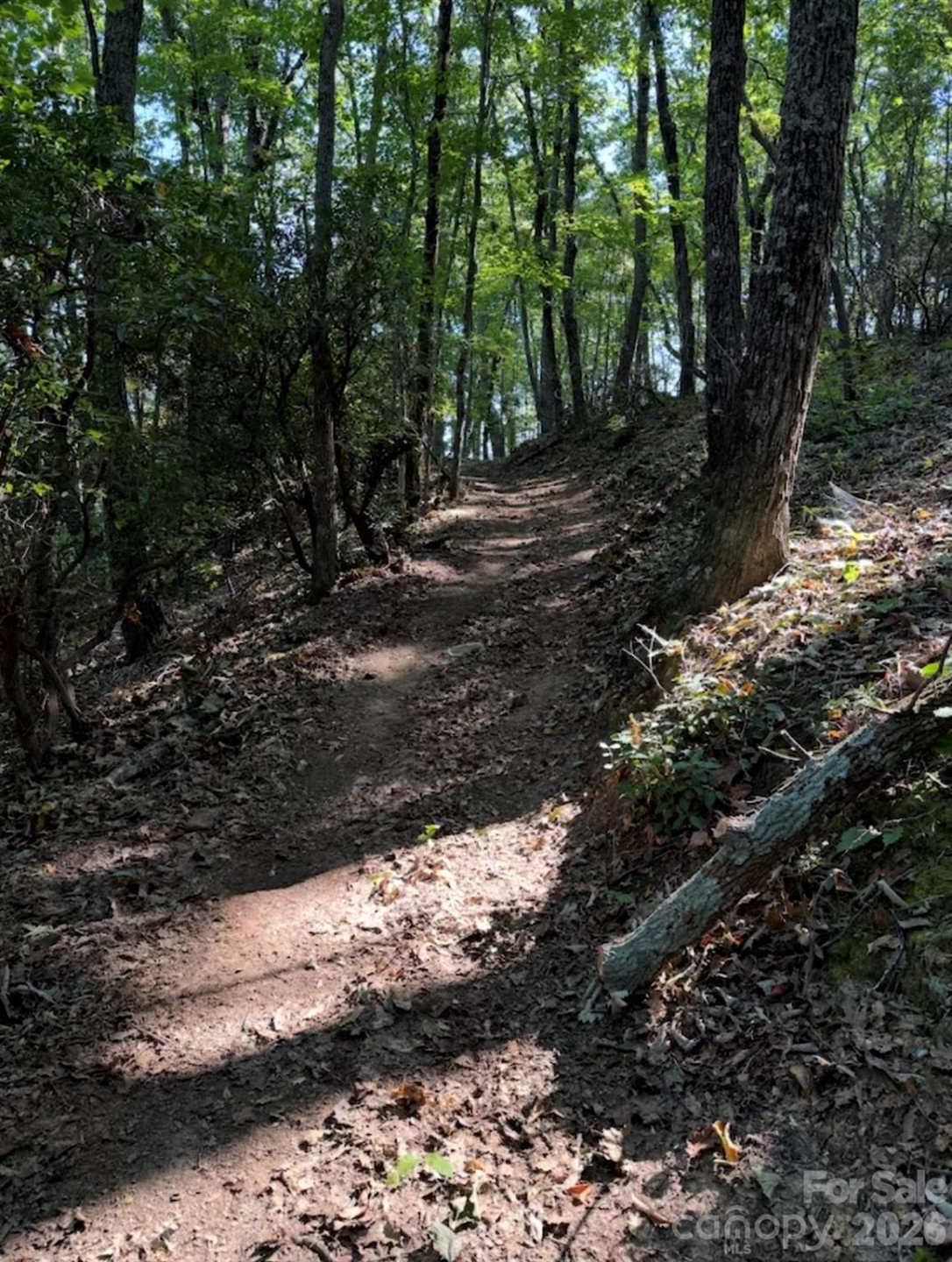 0 Hildebran Mountain Avenue - Photo 20