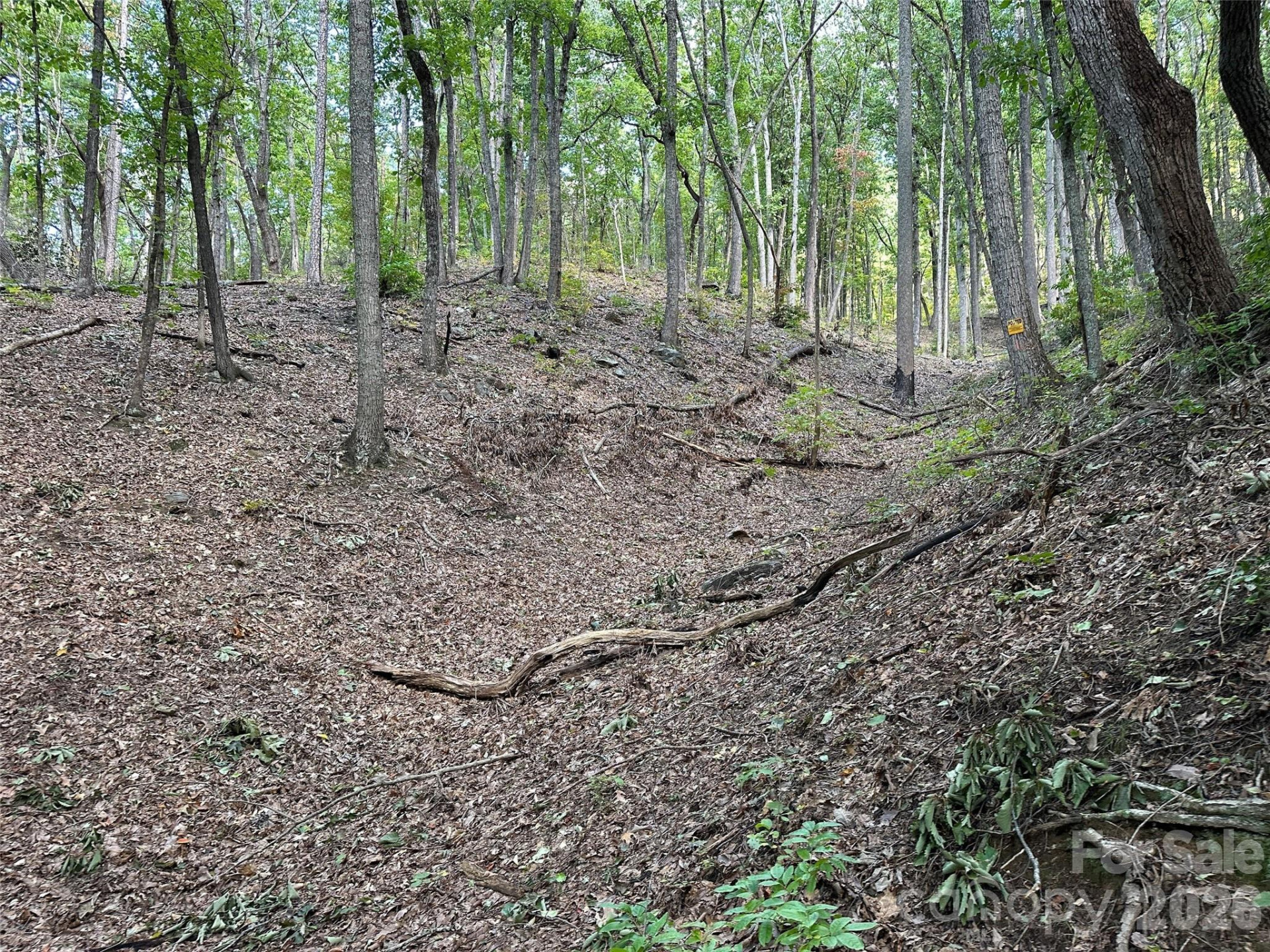 0 Hildebran Mountain Avenue - Photo 3