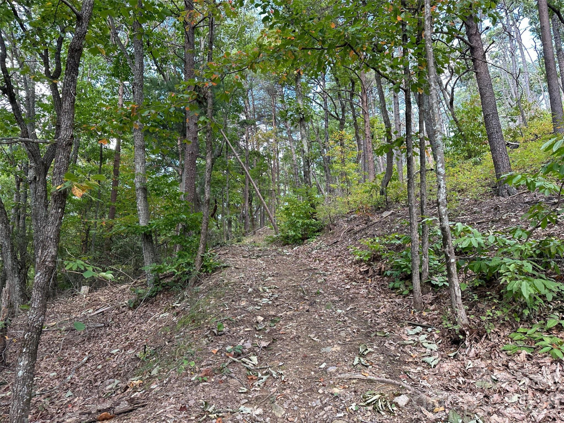 0 Hildebran Mountain Avenue - Photo 21