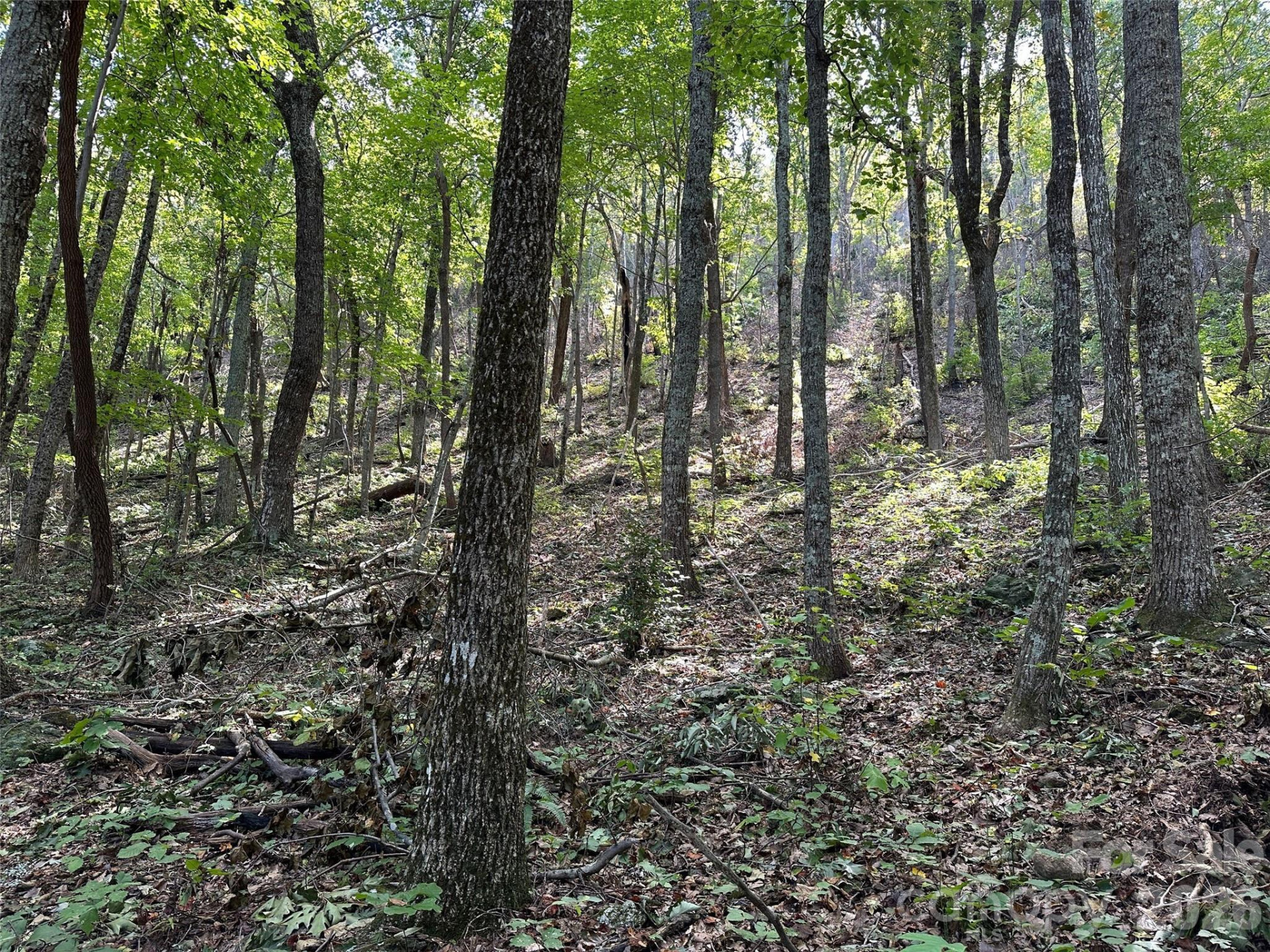 0 Hildebran Mountain Avenue - Photo 22