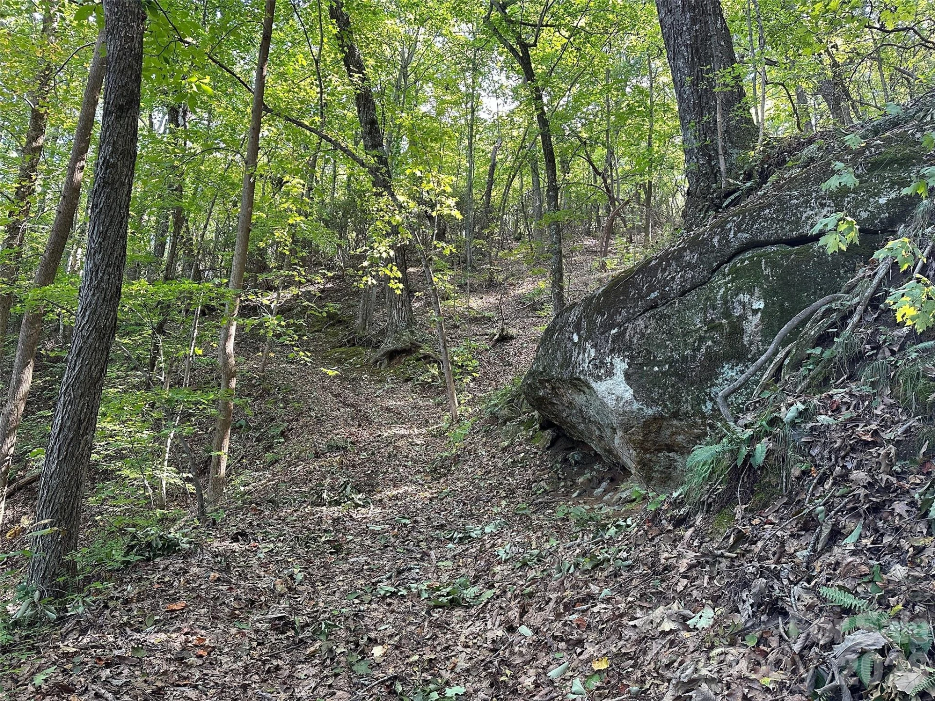 0 Hildebran Mountain Avenue - Photo 23