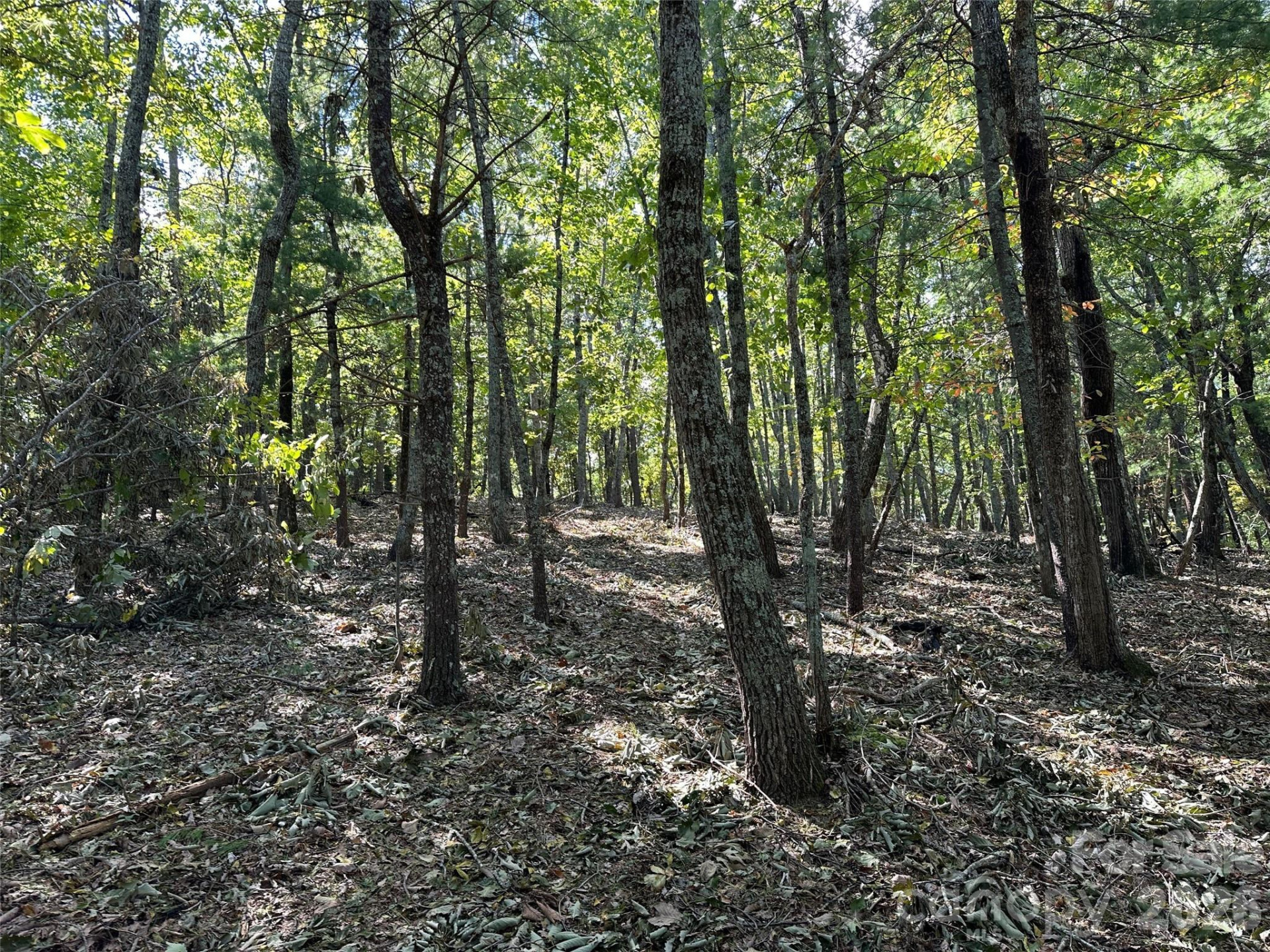 0 Hildebran Mountain Avenue - Photo 24