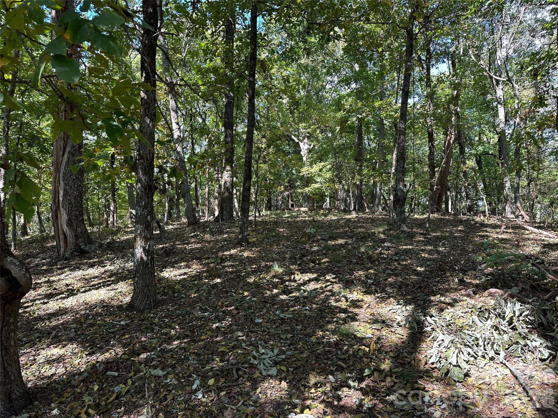 0 Hildebran Mountain Avenue - Photo 25