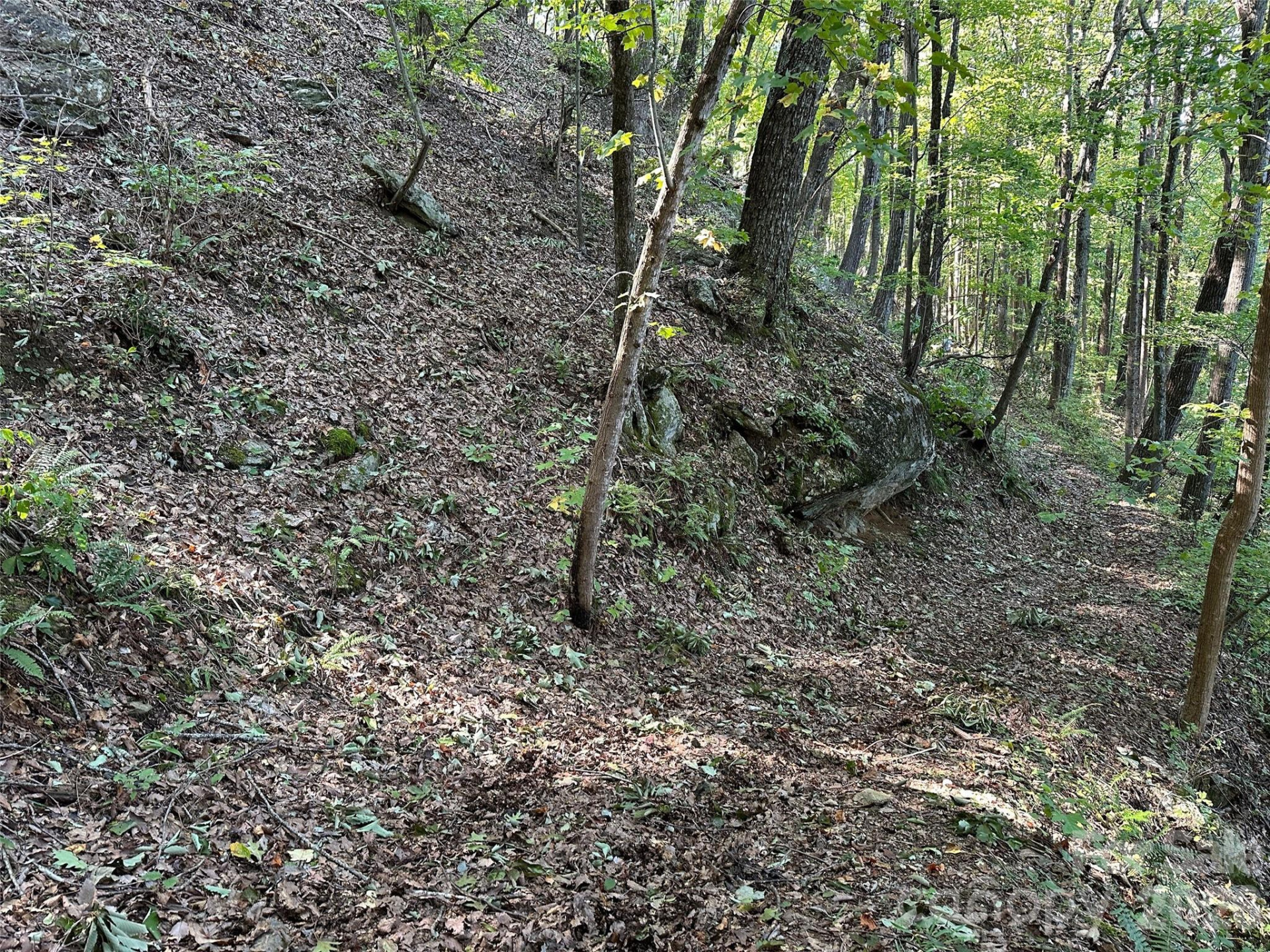 0 Hildebran Mountain Avenue - Photo 26