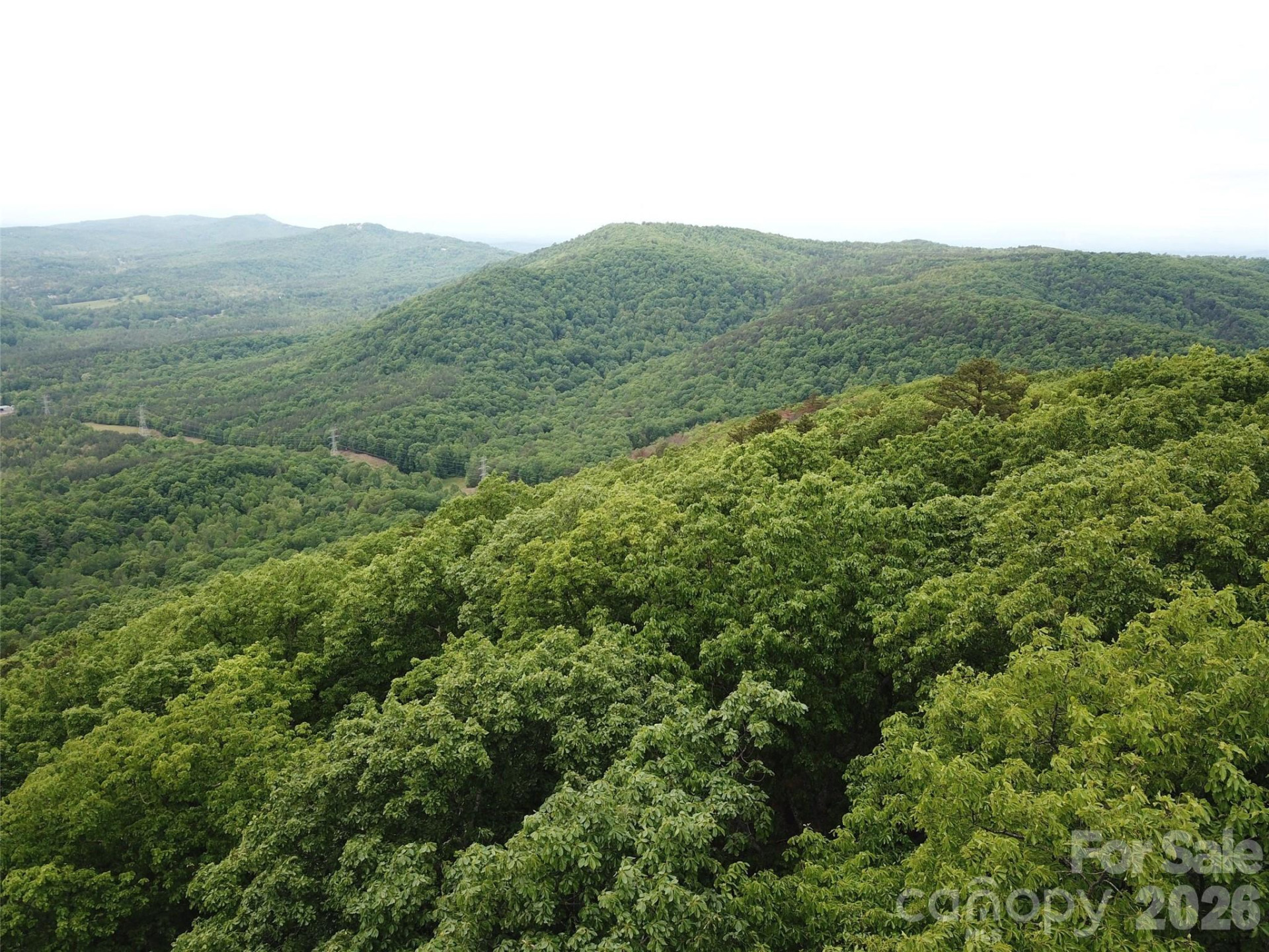 0 Hildebran Mountain Avenue - Photo 27