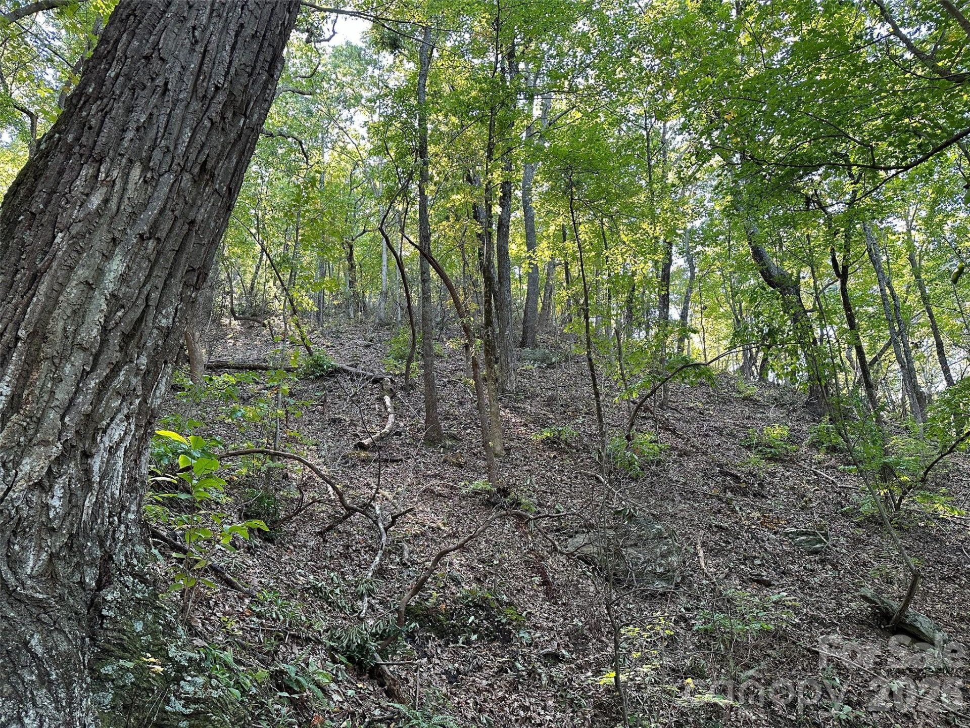 0 Hildebran Mountain Avenue - Photo 28