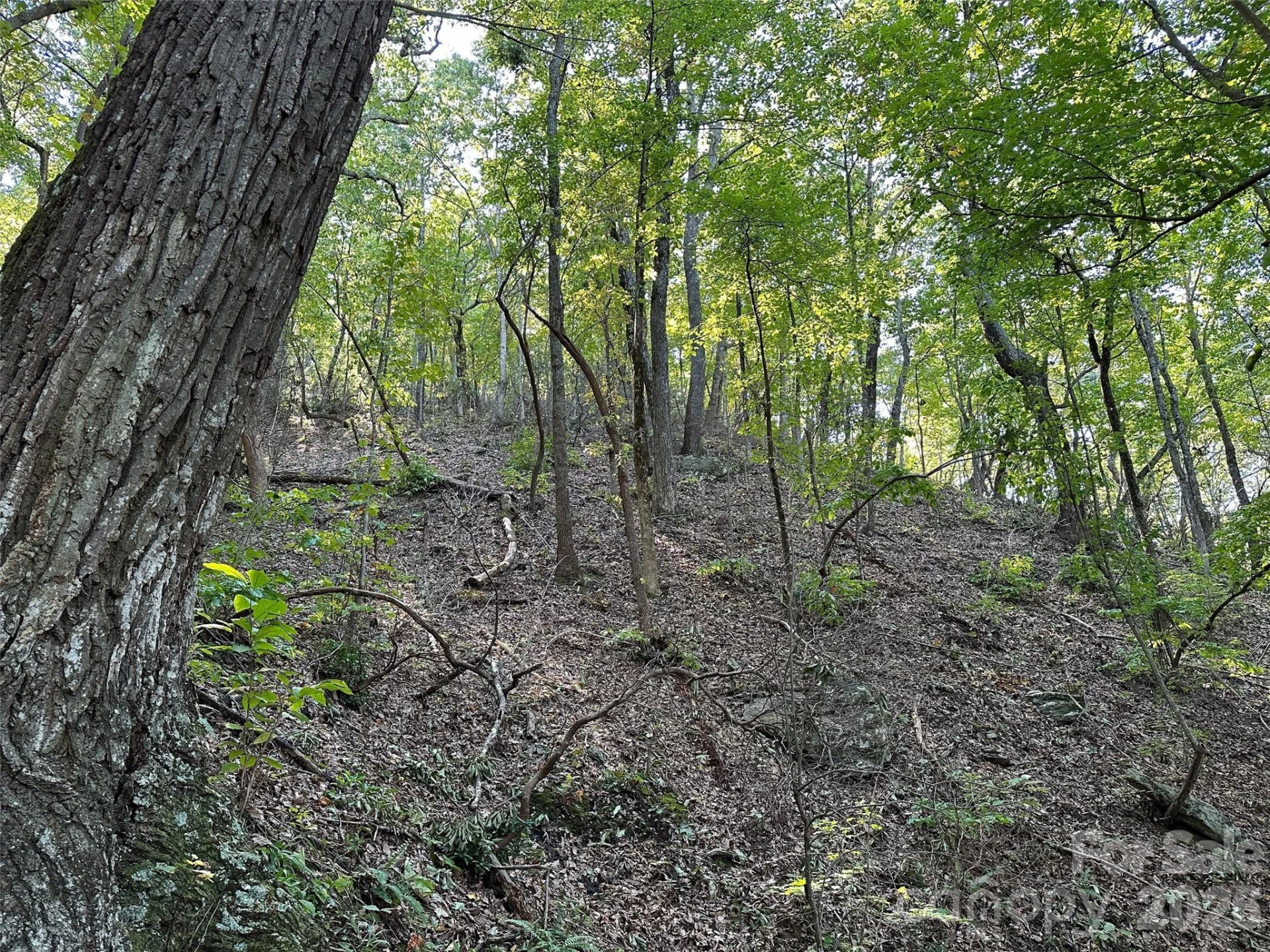 0 Hildebran Mountain Avenue - Photo 28