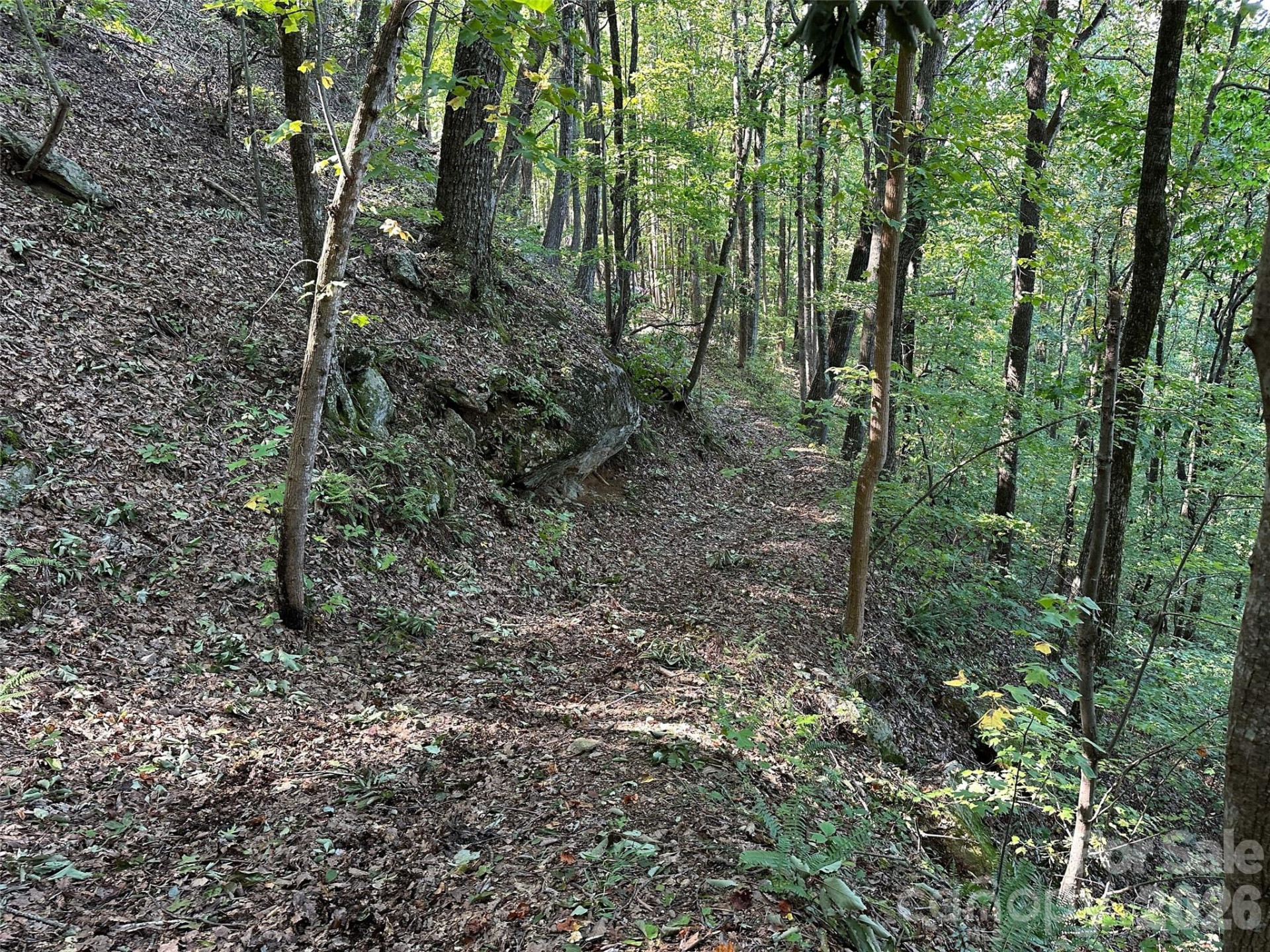 0 Hildebran Mountain Avenue - Photo 29