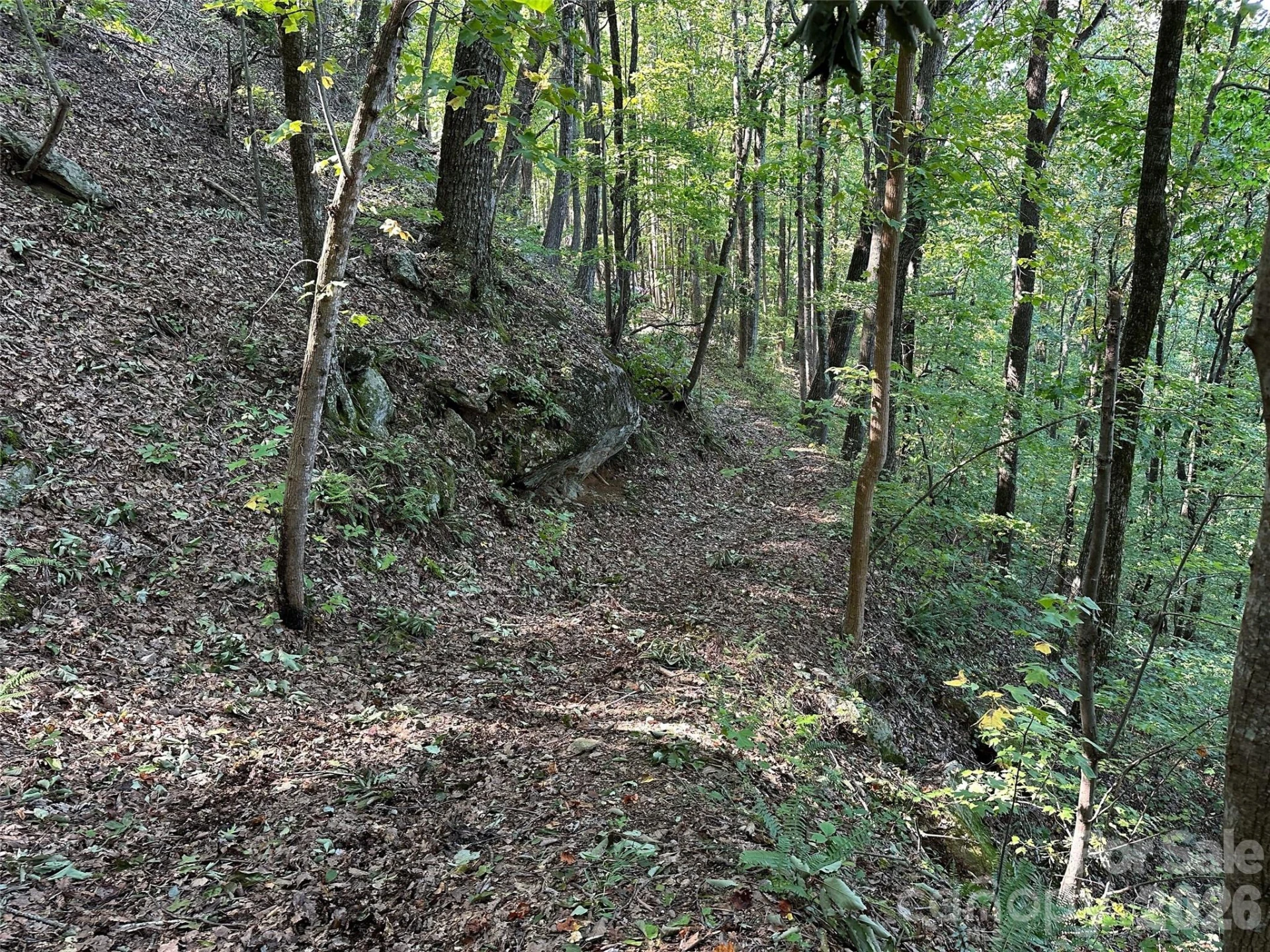 0 Hildebran Mountain Avenue - Photo 29