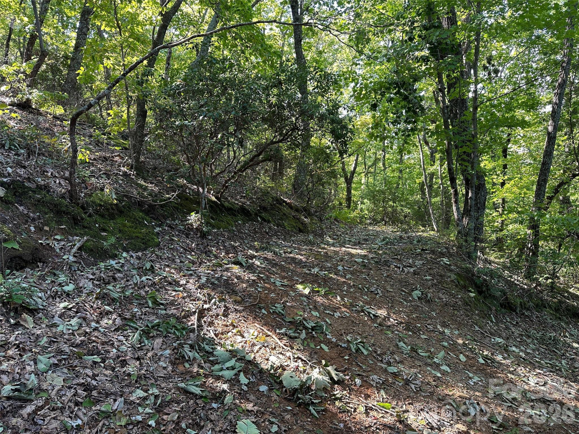 0 Hildebran Mountain Avenue - Photo 30