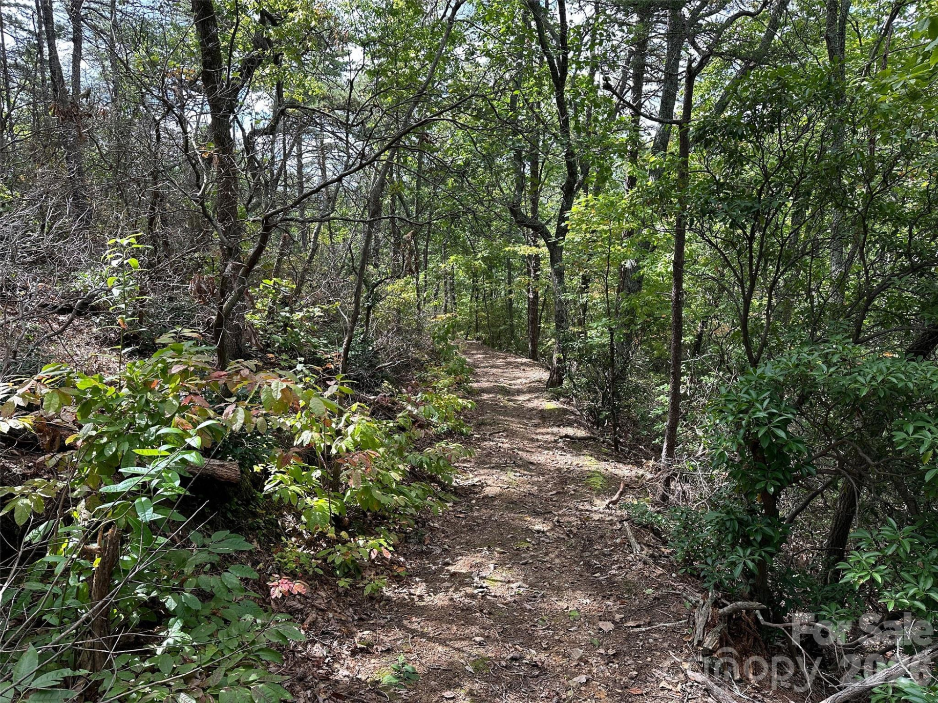 0 Hildebran Mountain Avenue - Photo 4