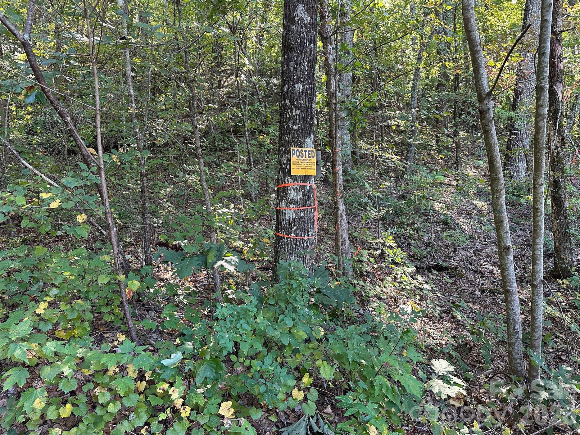 0 Hildebran Mountain Avenue - Photo 31