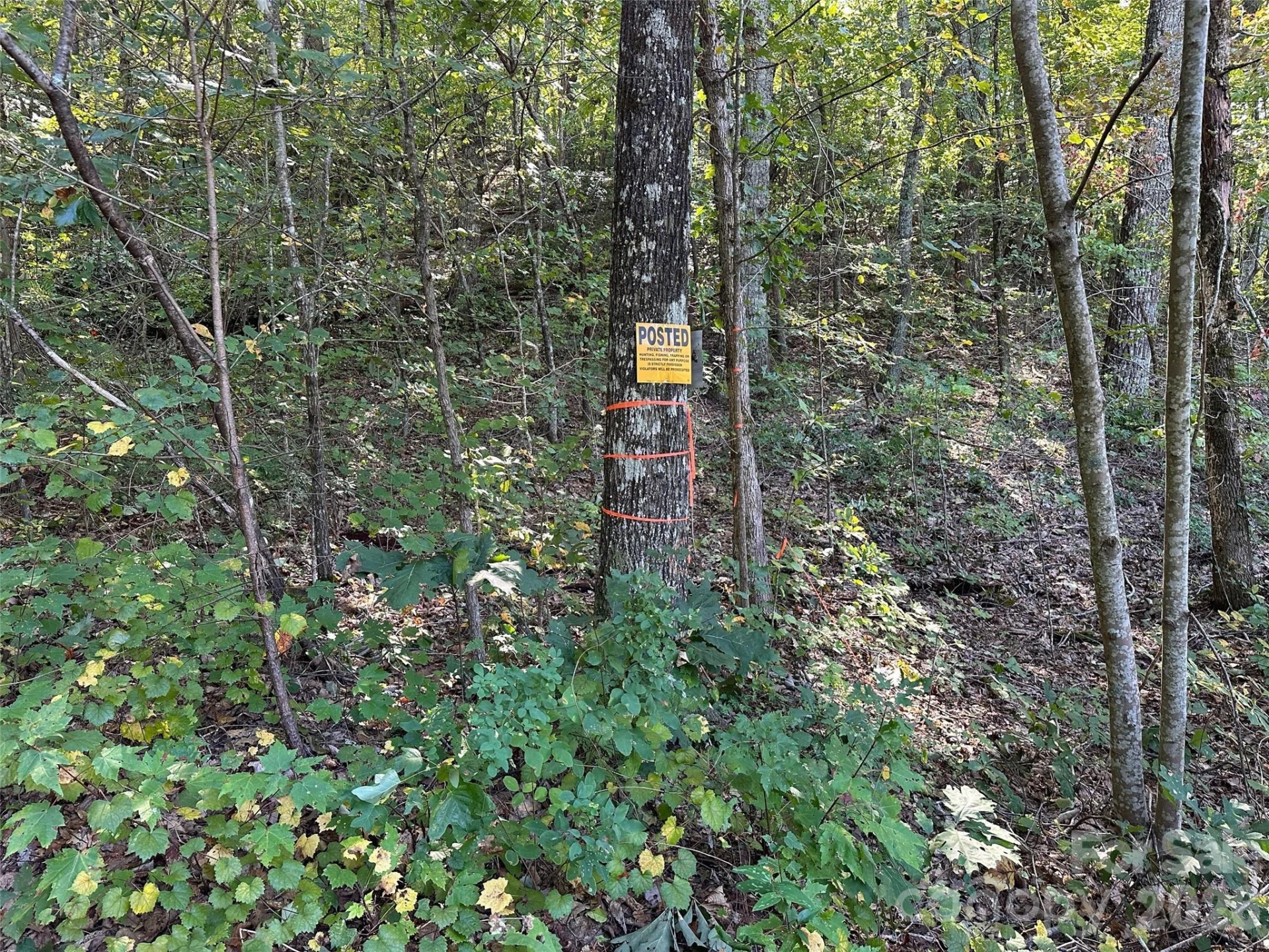0 Hildebran Mountain Avenue - Photo 31