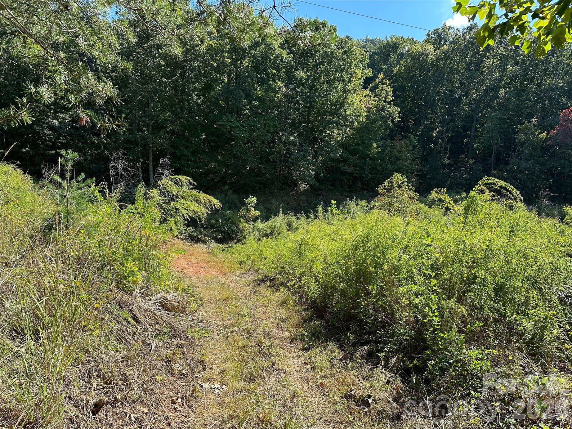 0 Hildebran Mountain Avenue - Photo 32