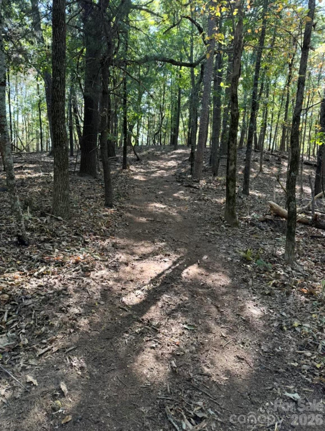 0 Hildebran Mountain Avenue - Photo 34