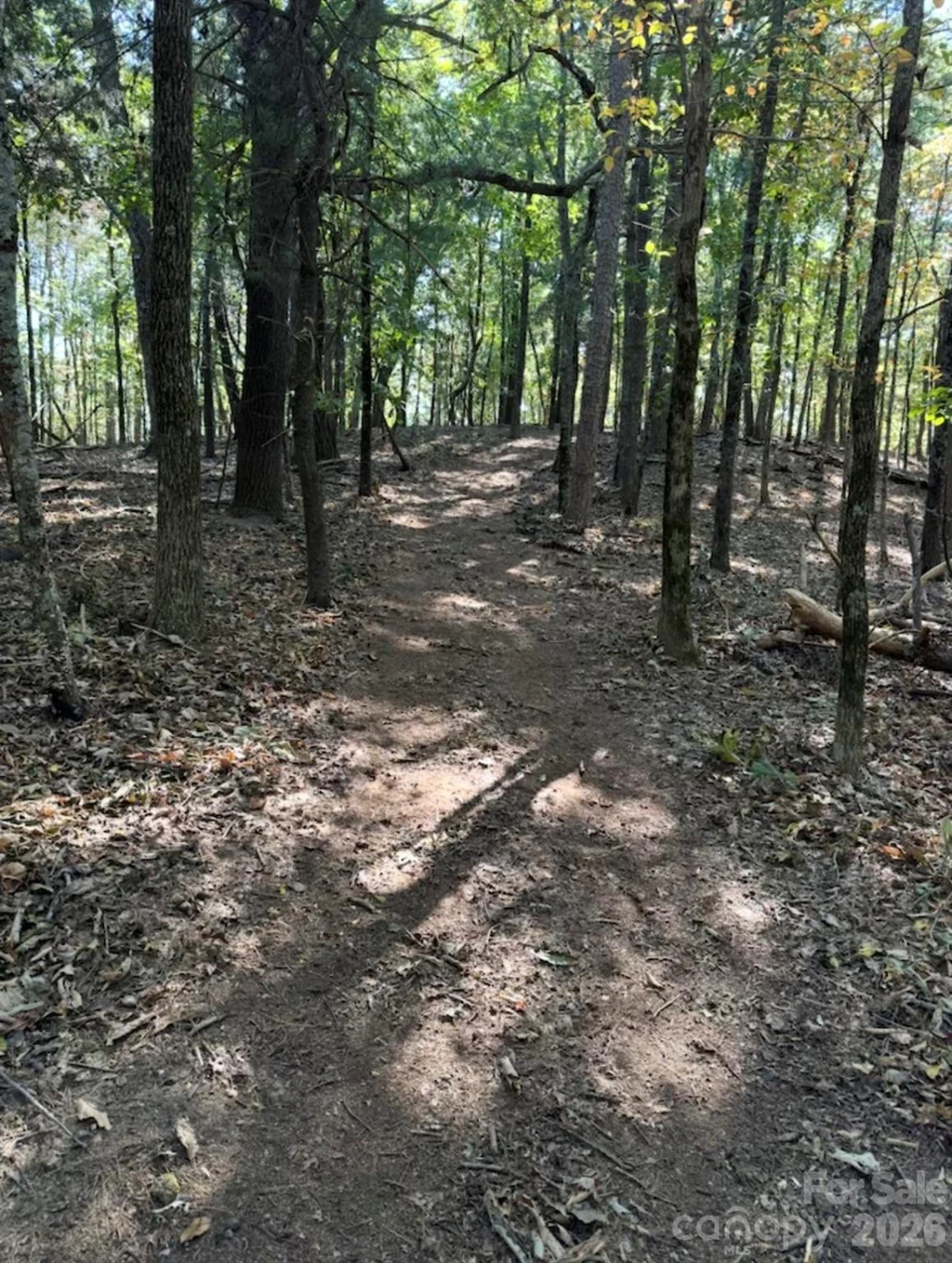 0 Hildebran Mountain Avenue - Photo 34