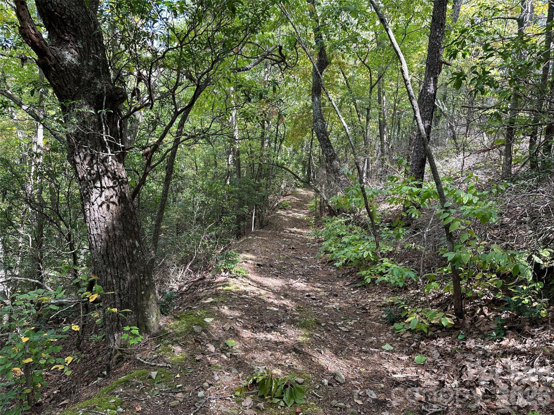 0 Hildebran Mountain Avenue - Photo 6