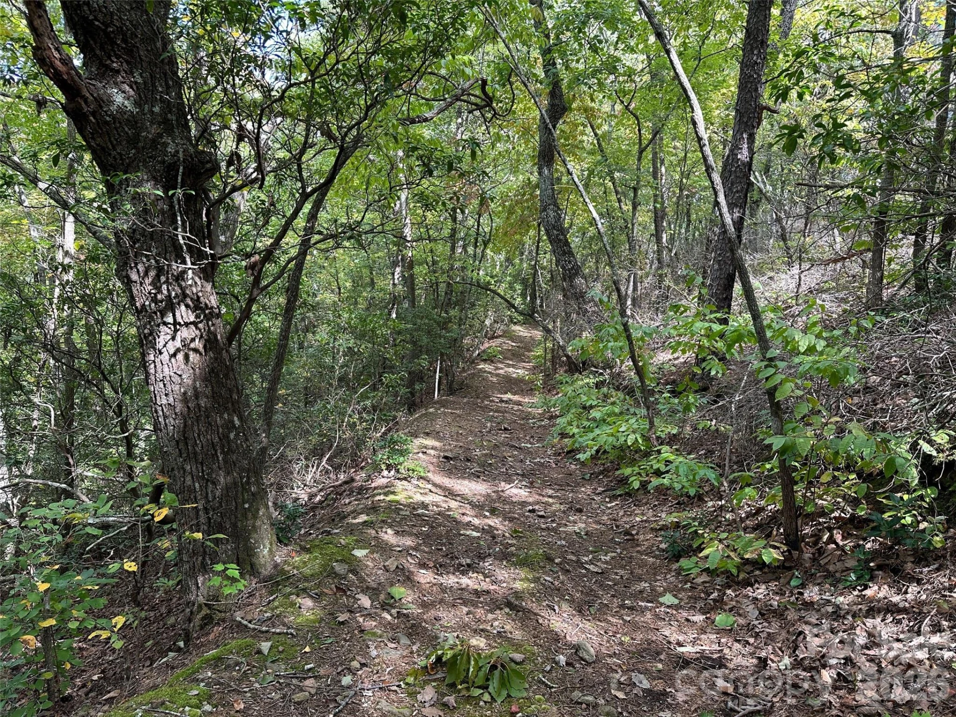 0 Hildebran Mountain Avenue - Photo 6