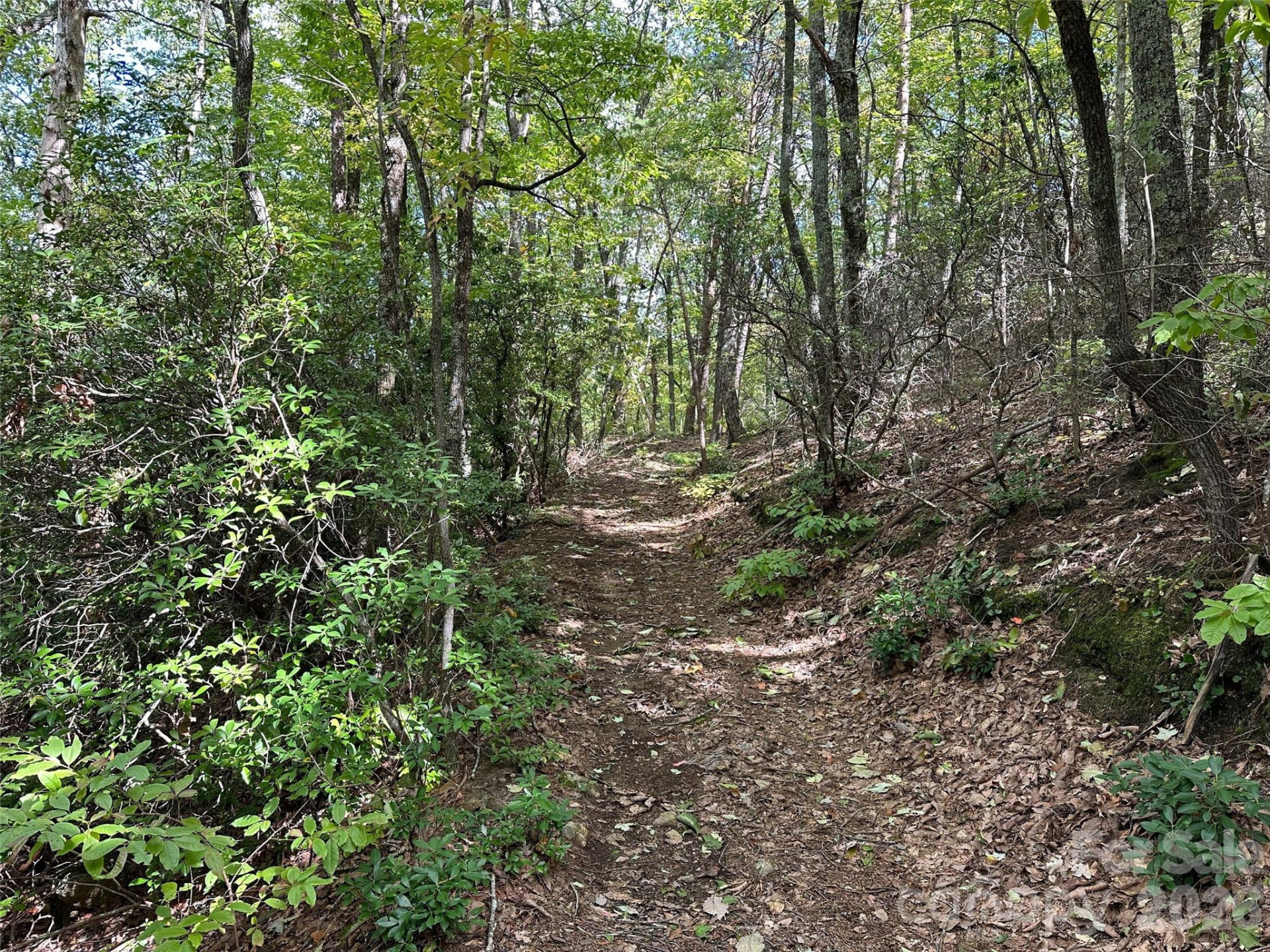 0 Hildebran Mountain Avenue - Photo 8