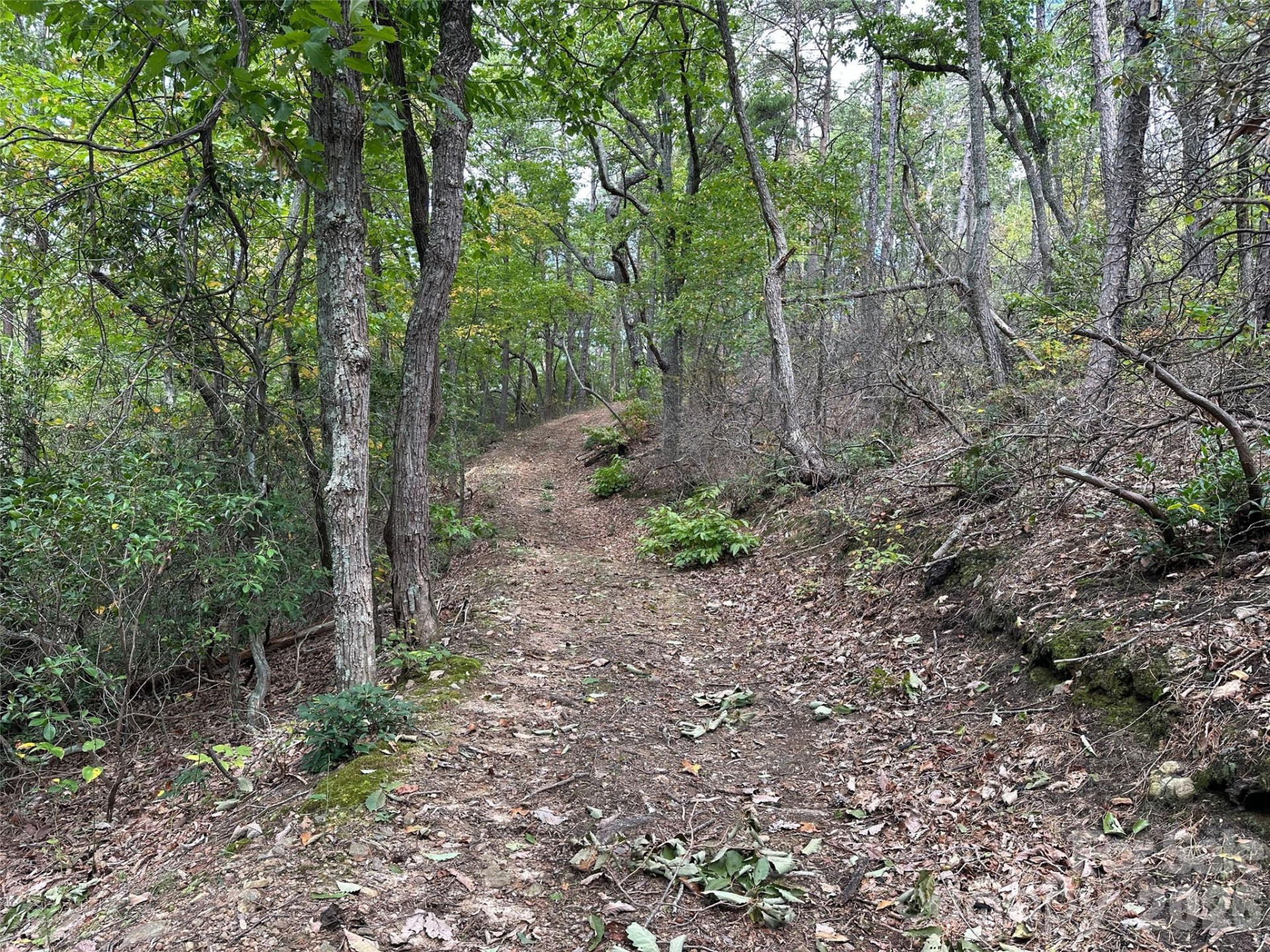 0 Hildebran Mountain Avenue - Photo 9