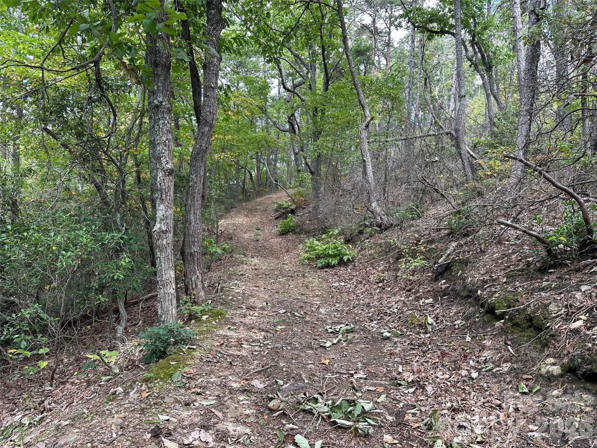 0 Hildebran Mountain Avenue - Photo 9