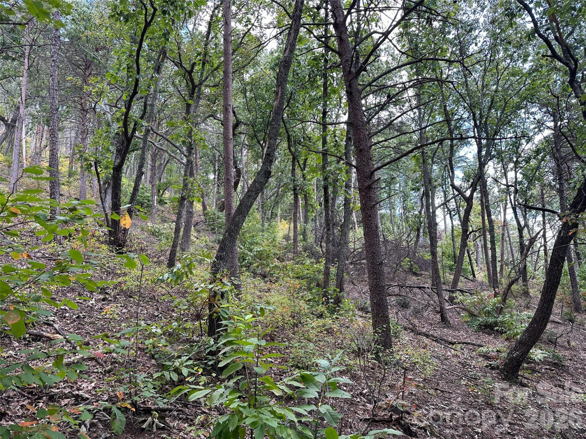 0 Hildebran Mountain Avenue - Photo 10