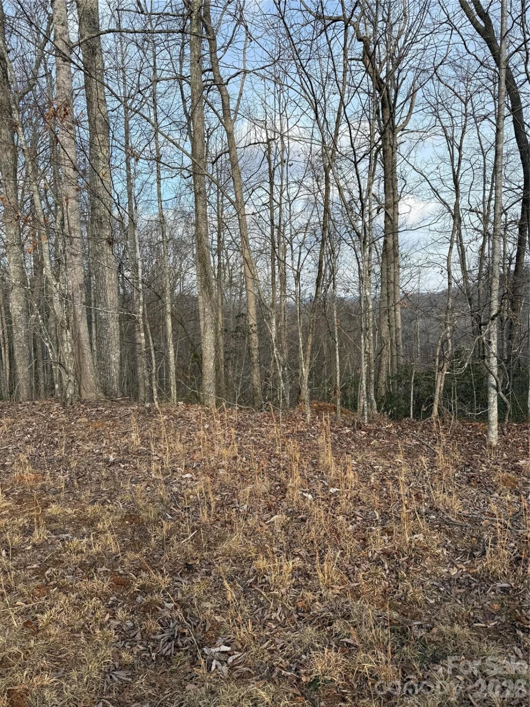 0 White Fawn Drive - Photo 2