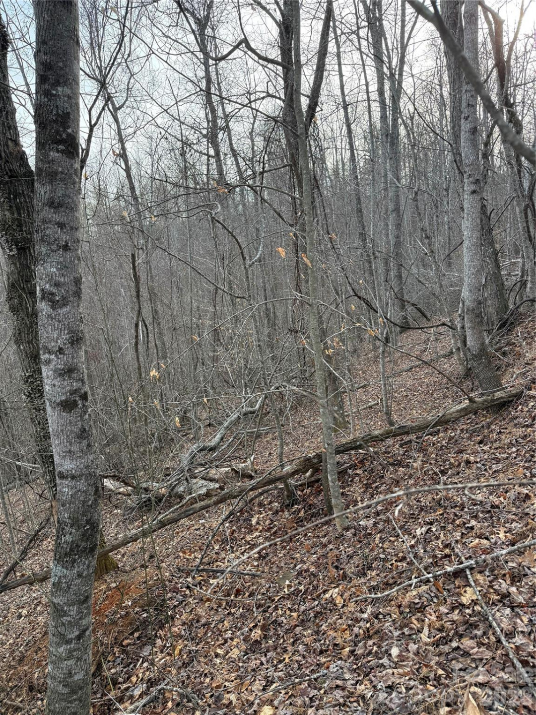 0 White Fawn Drive - Photo 11