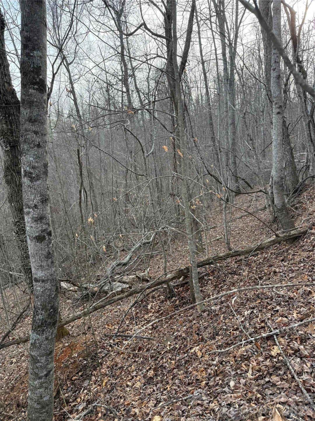 0 White Fawn Drive - Photo 11