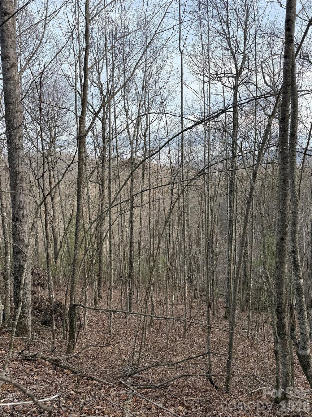 0 White Fawn Drive - Photo 12