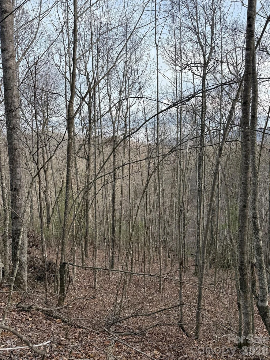 0 White Fawn Drive - Photo 12