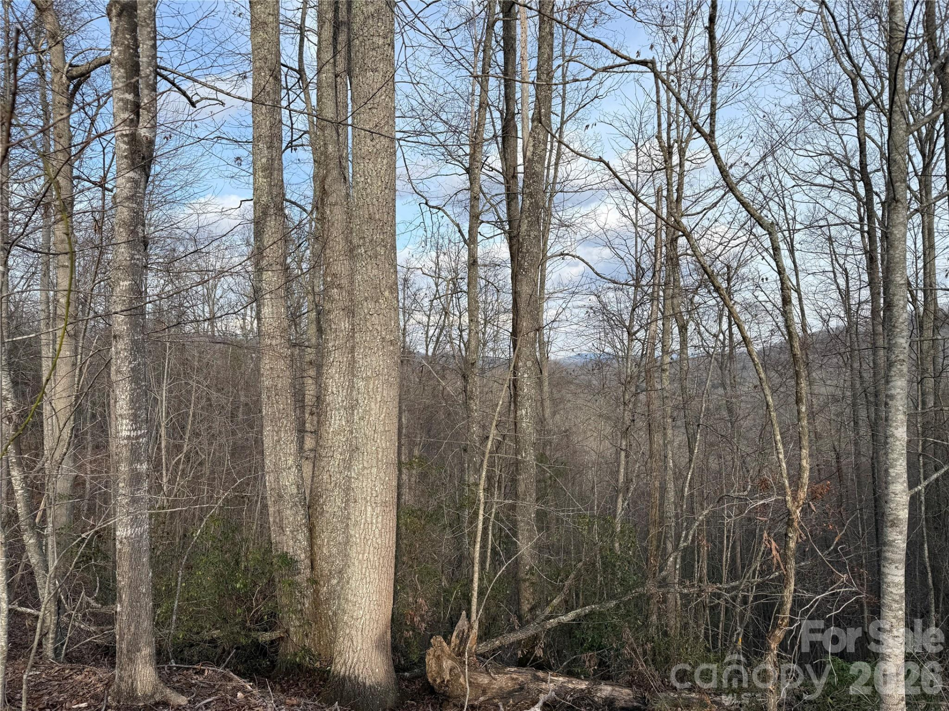 0 White Fawn Drive - Photo 3